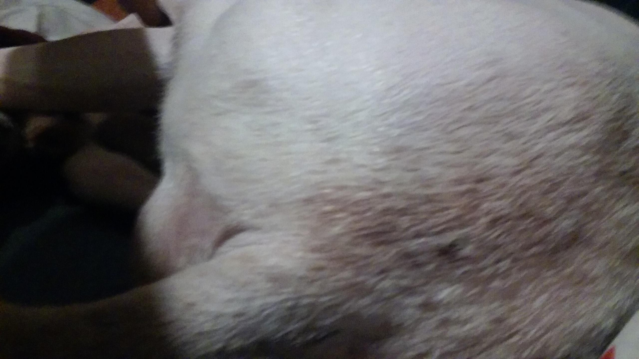 Question details sensitive content