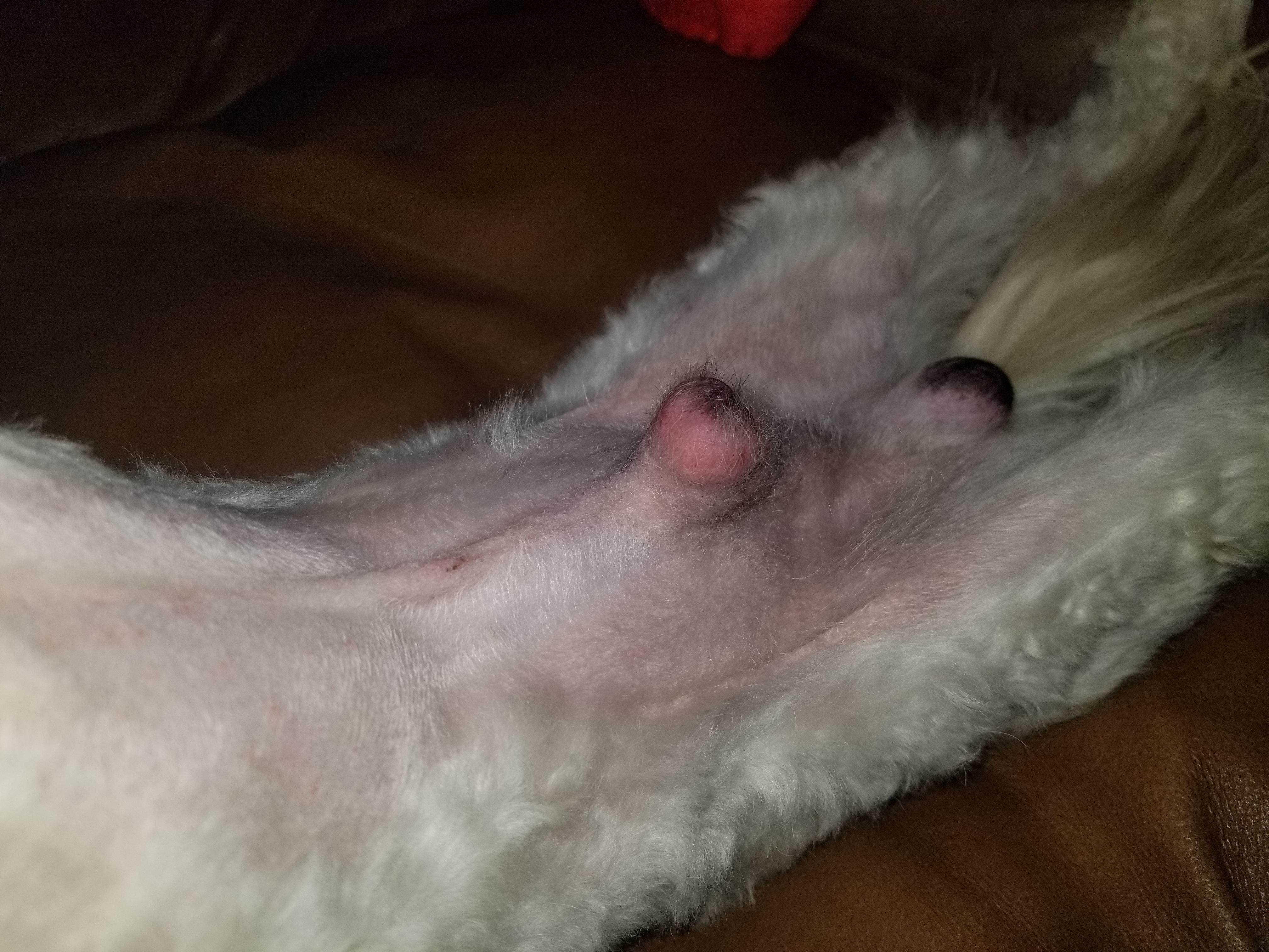 Question details sensitive content