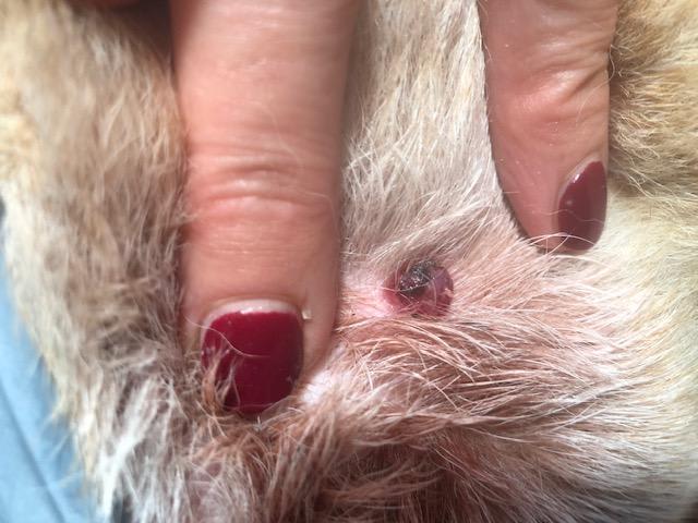 Question details sensitive content