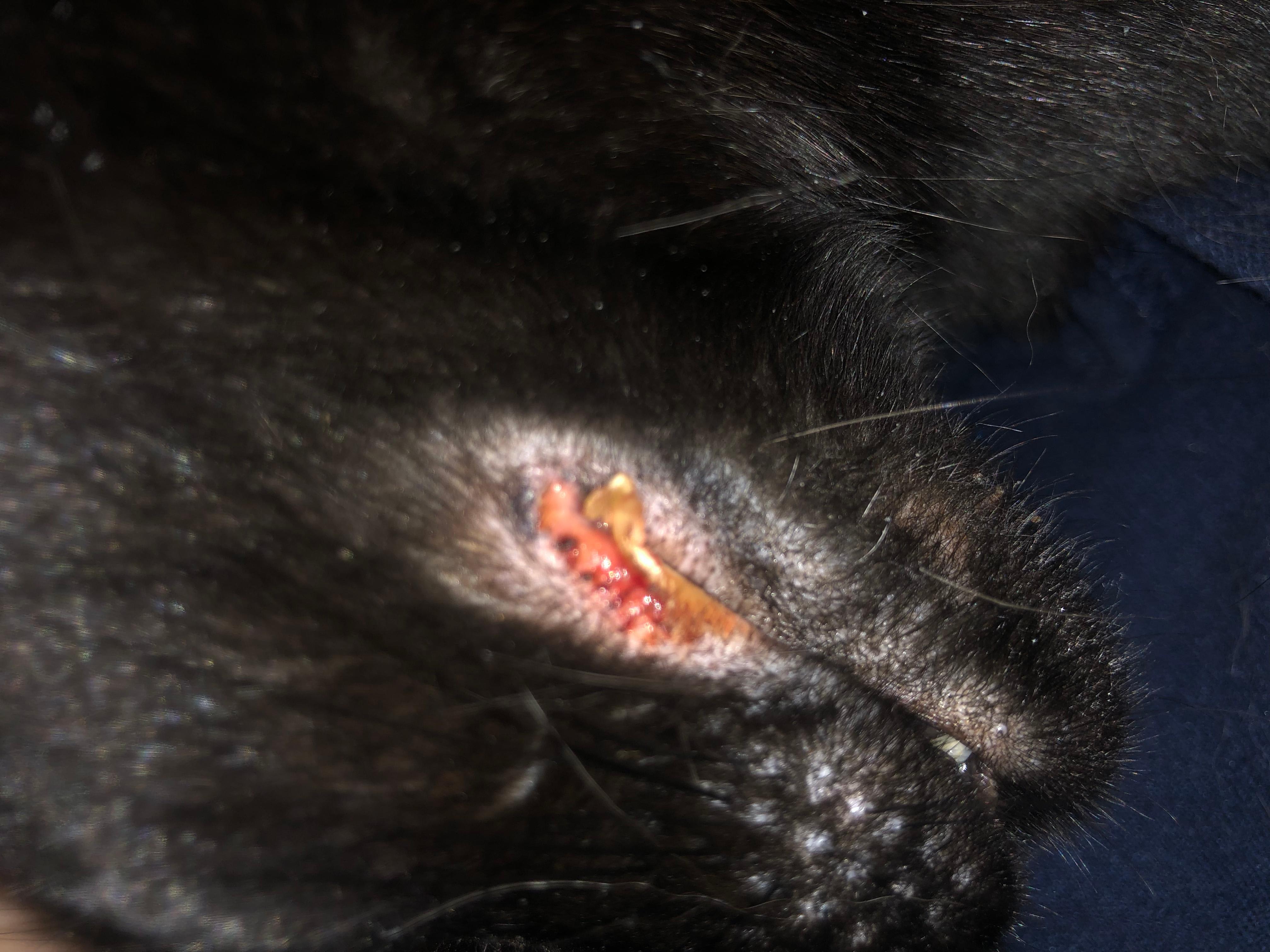 Question details sensitive content