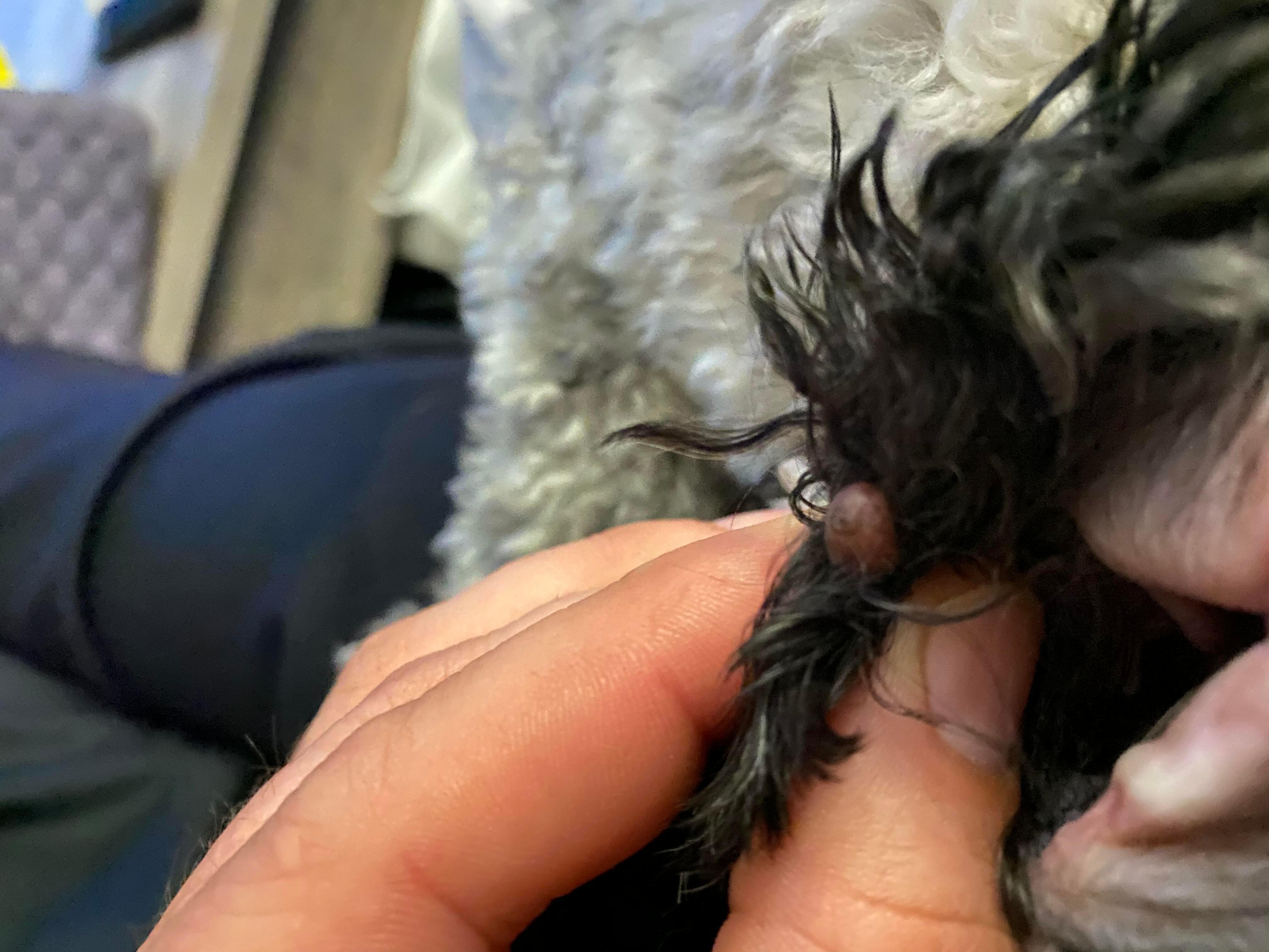 Question details sensitive content