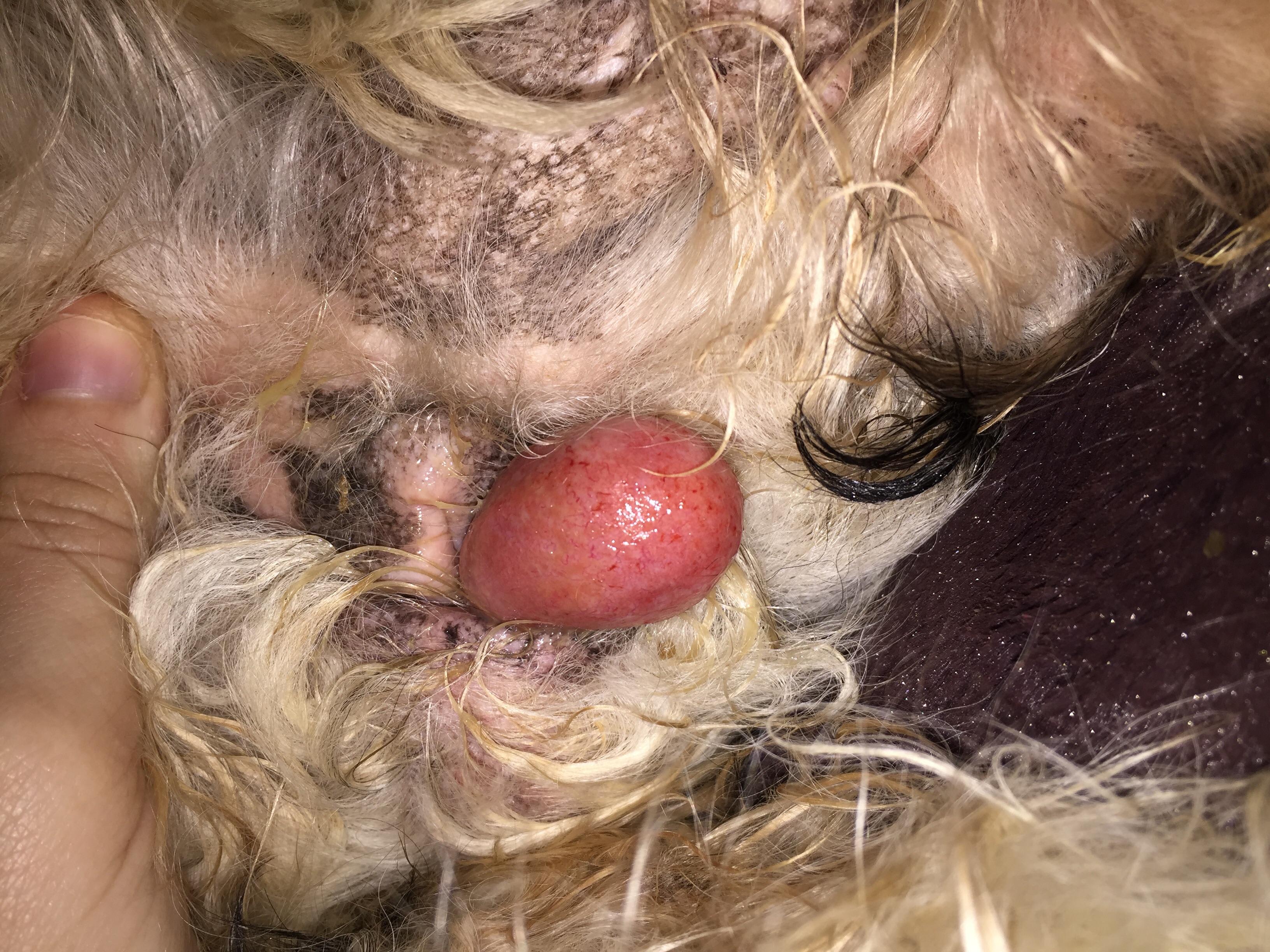 Question details sensitive content