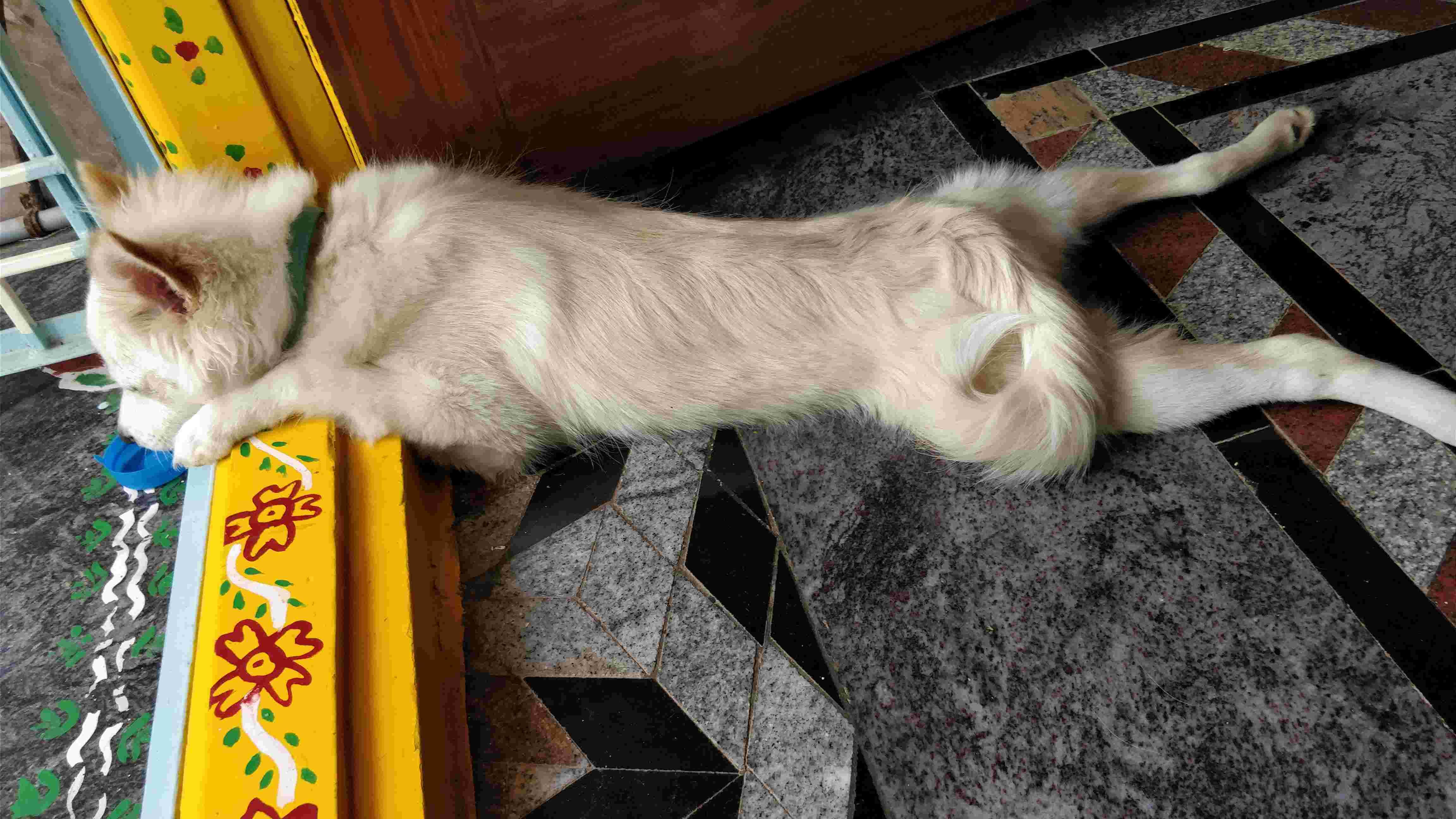 Question details sensitive content