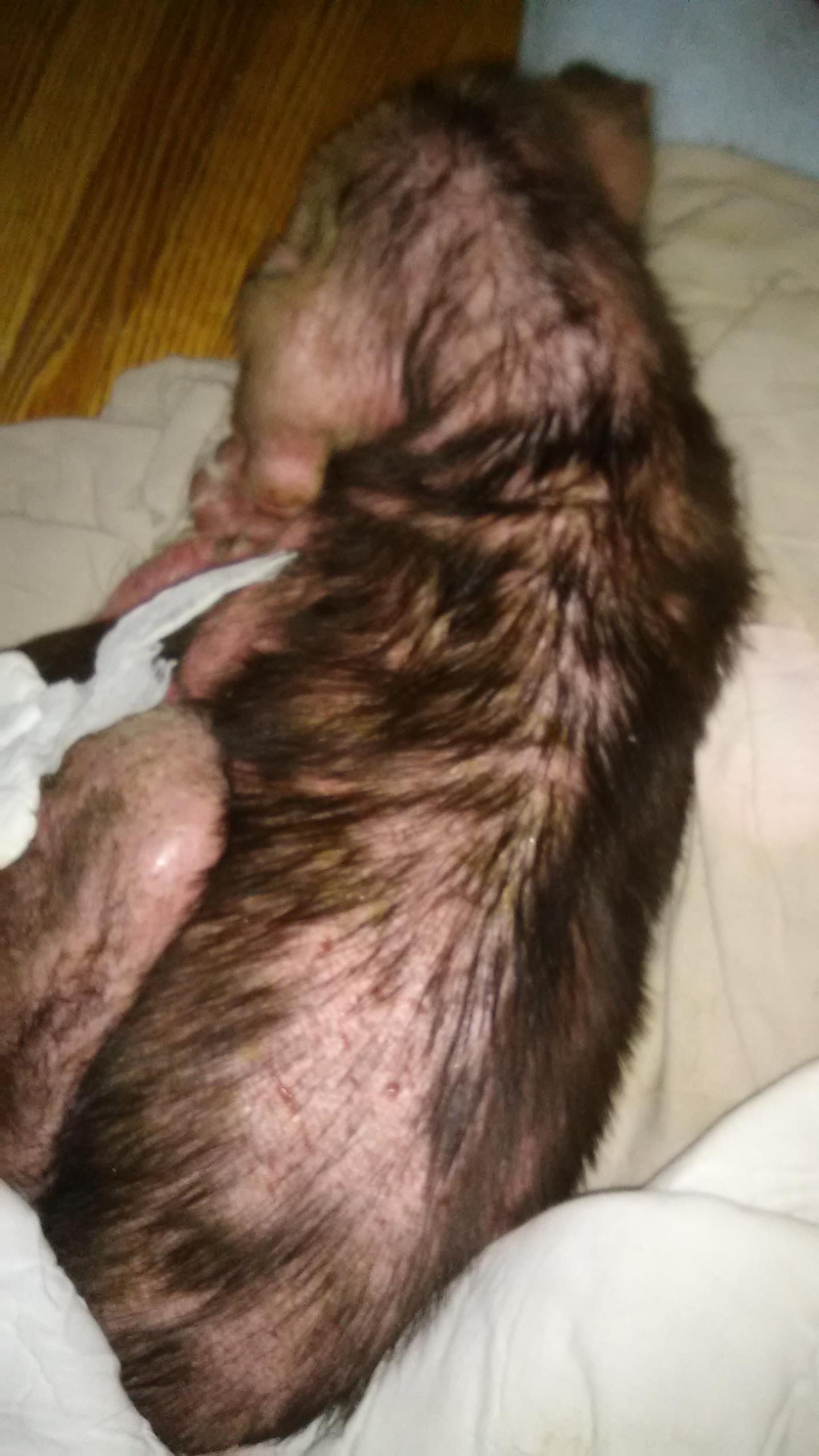 Question details sensitive content