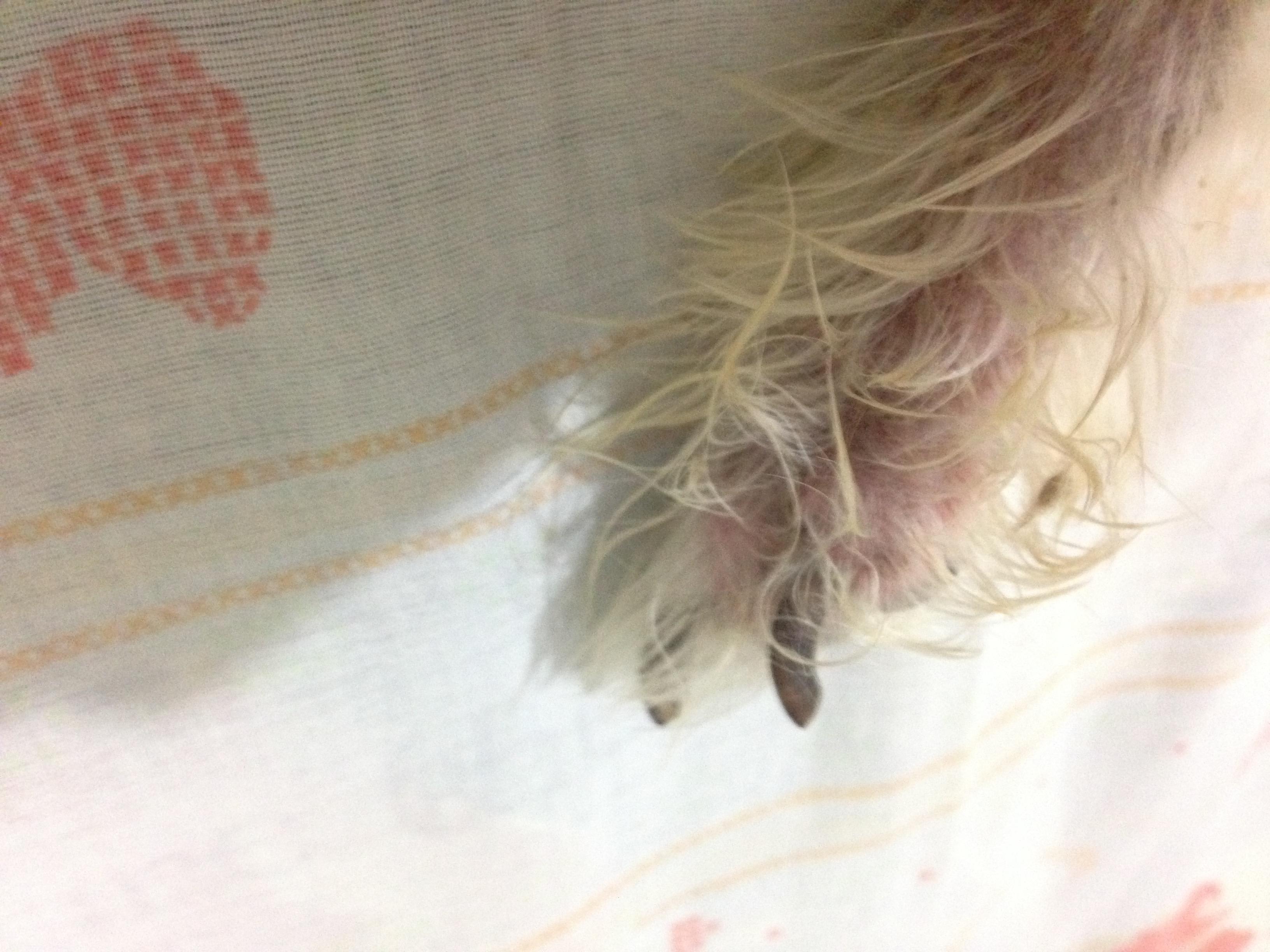 Question details sensitive content