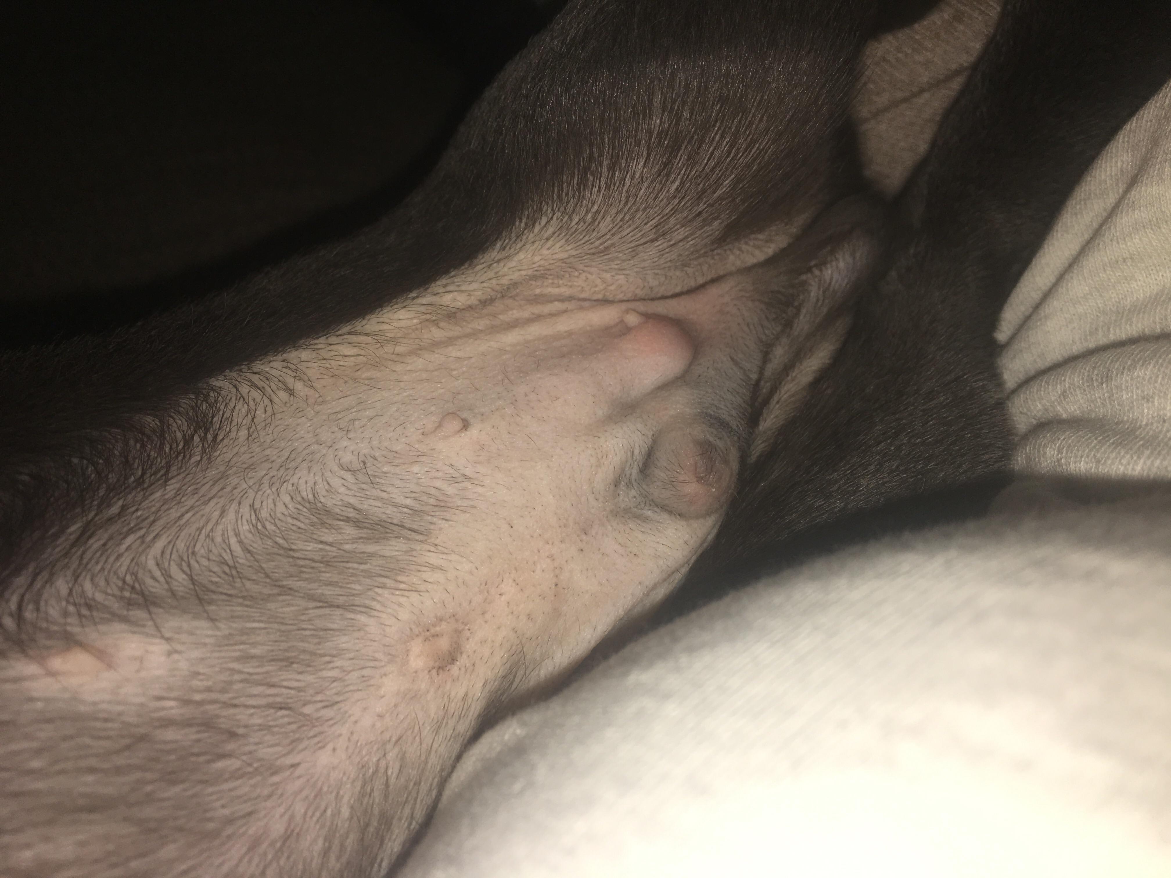 Question details sensitive content