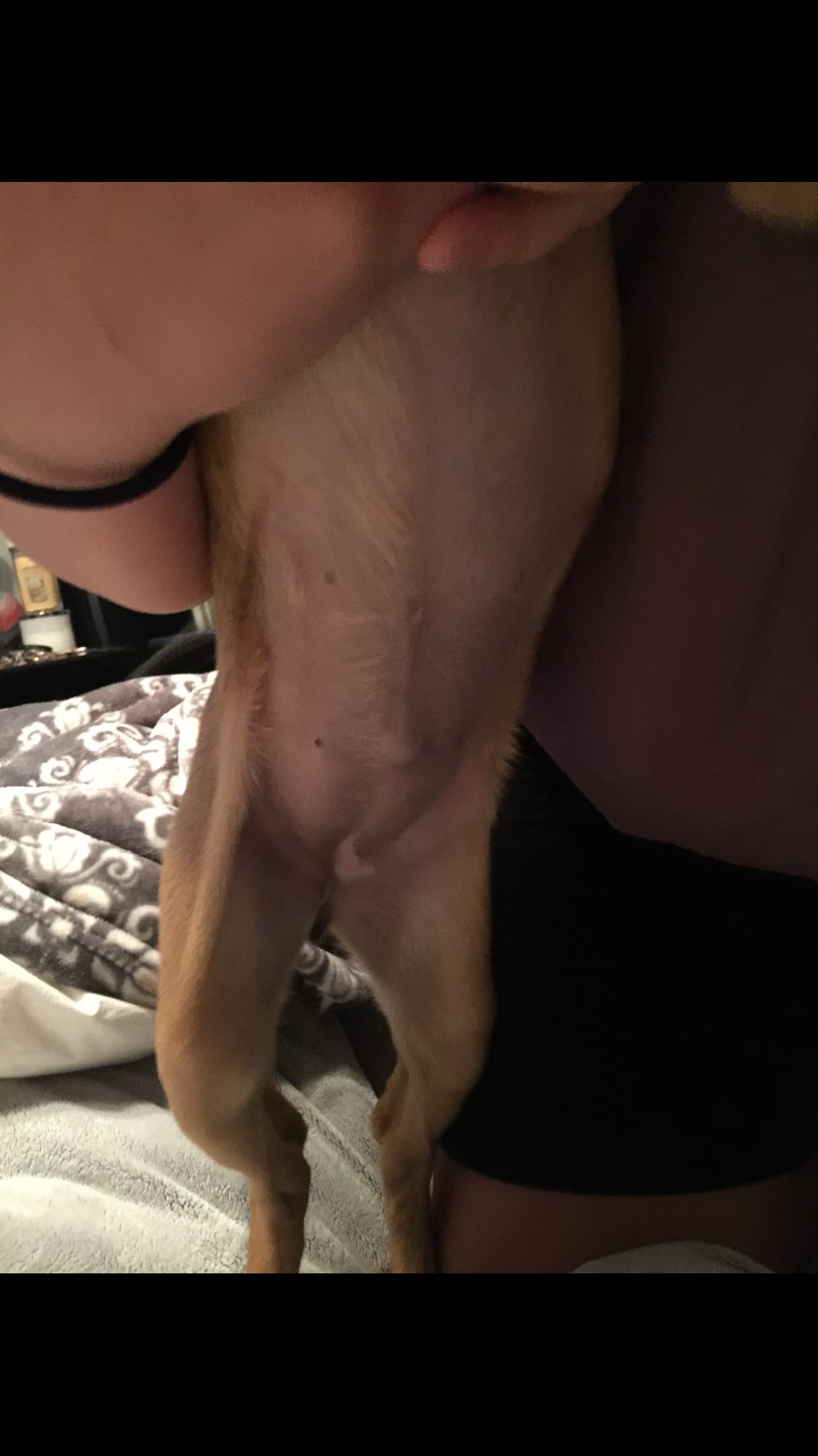 Question details sensitive content