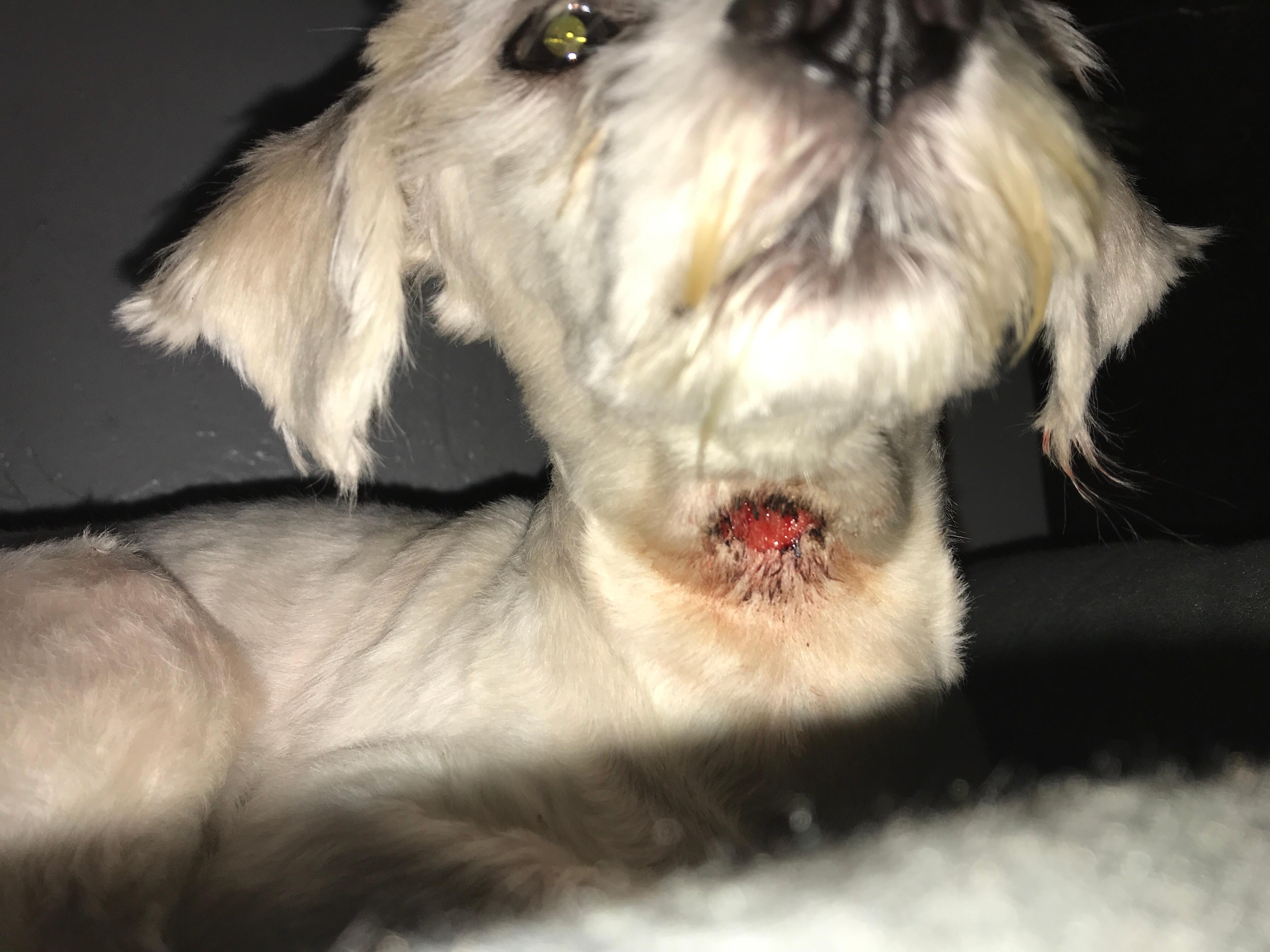 Question details sensitive content