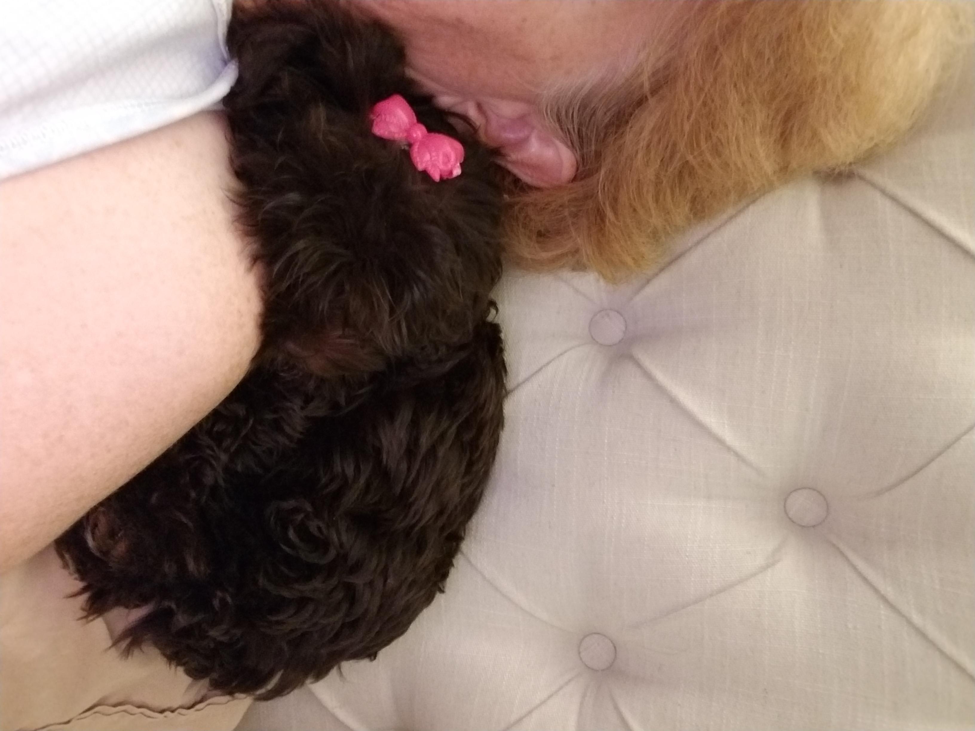 Question details sensitive content