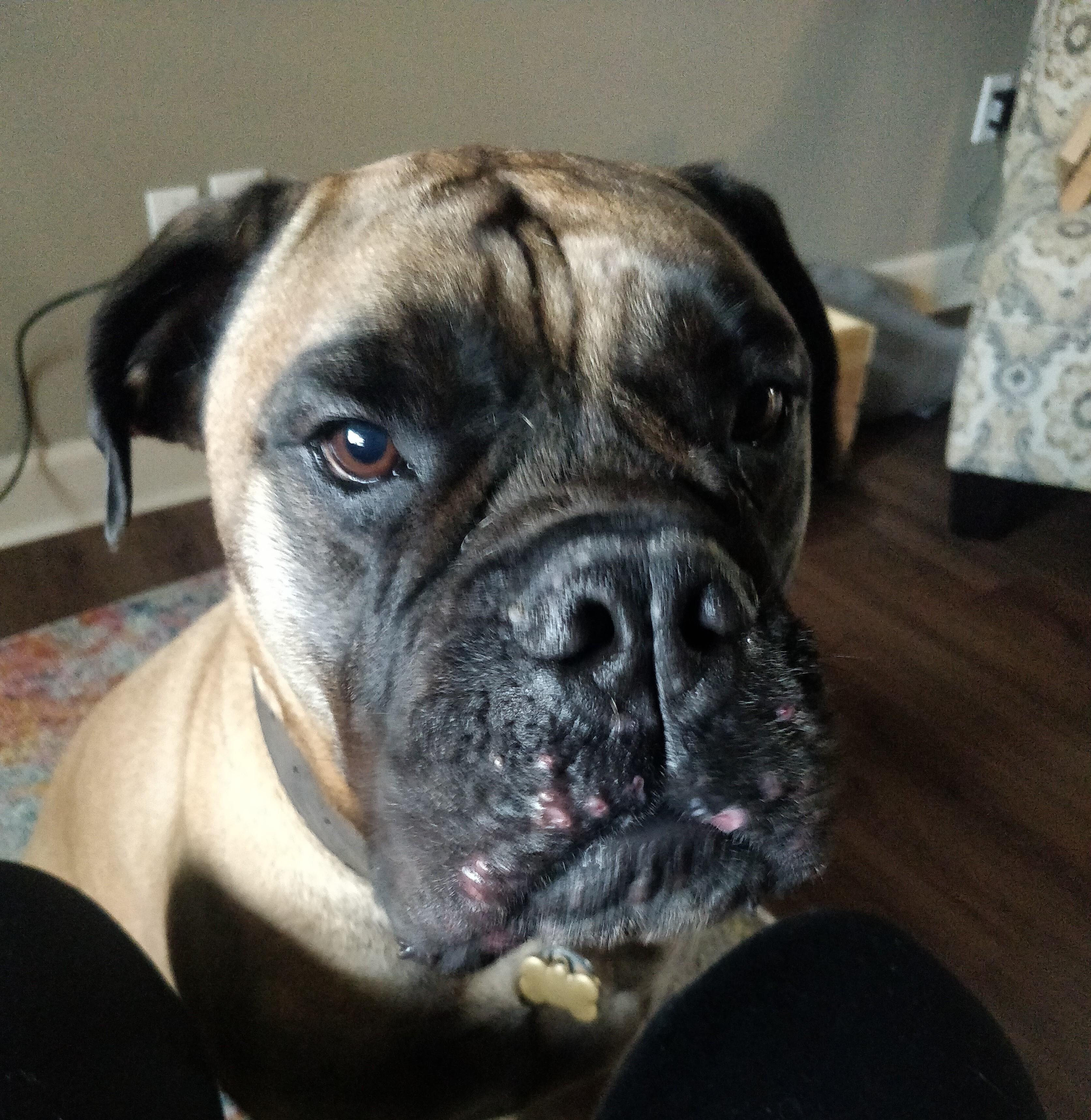 Question details sensitive content