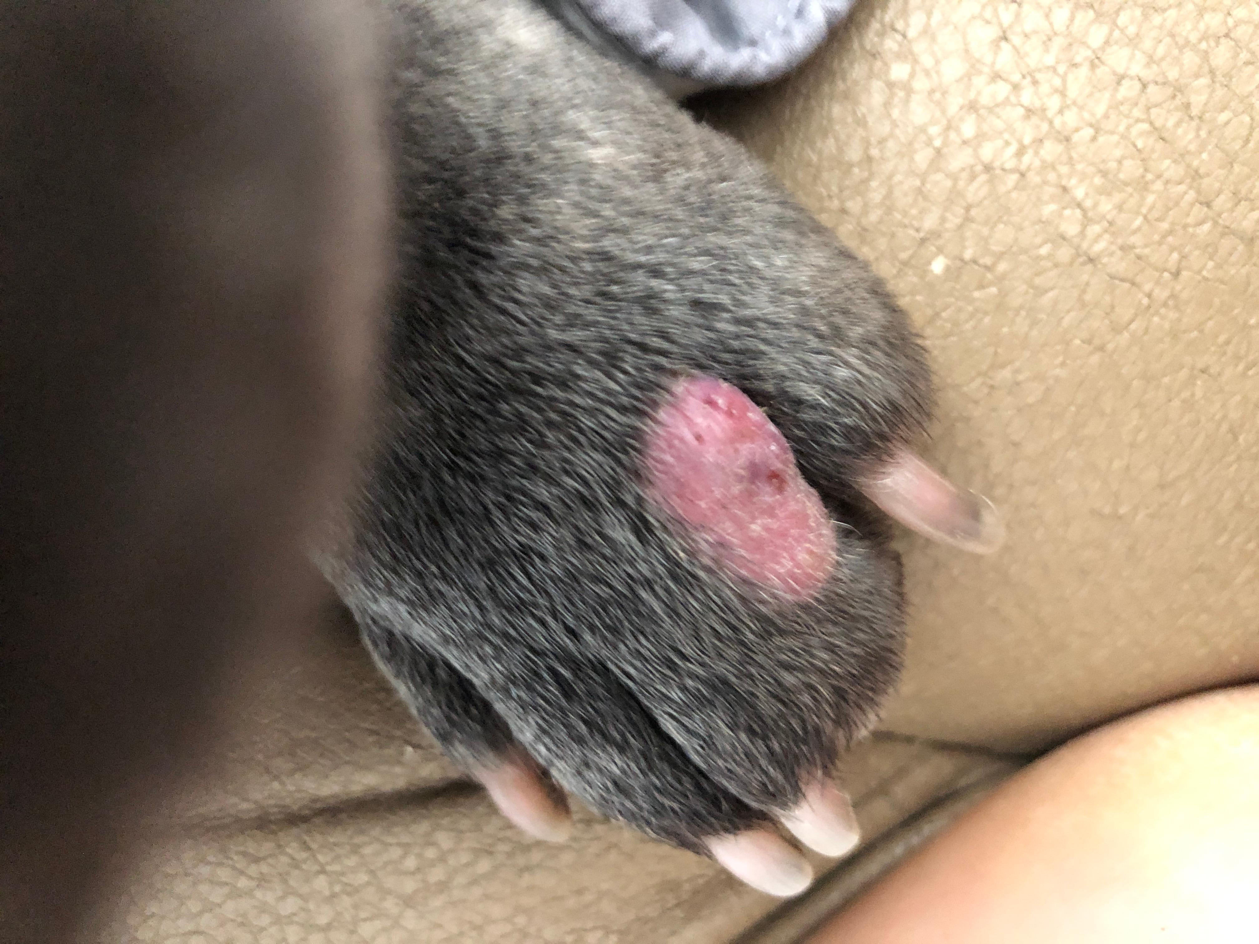 Question details sensitive content