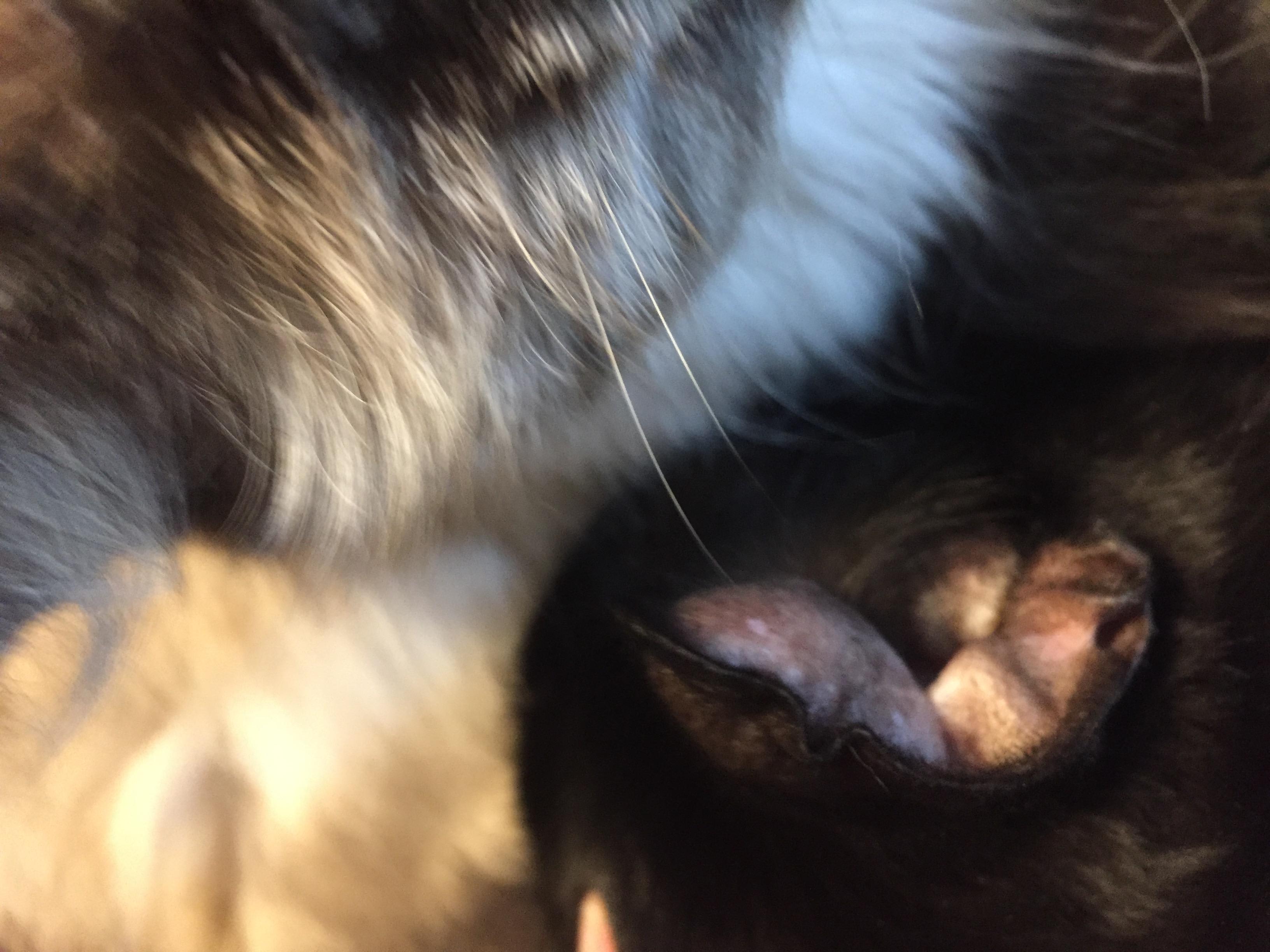 Question details sensitive content