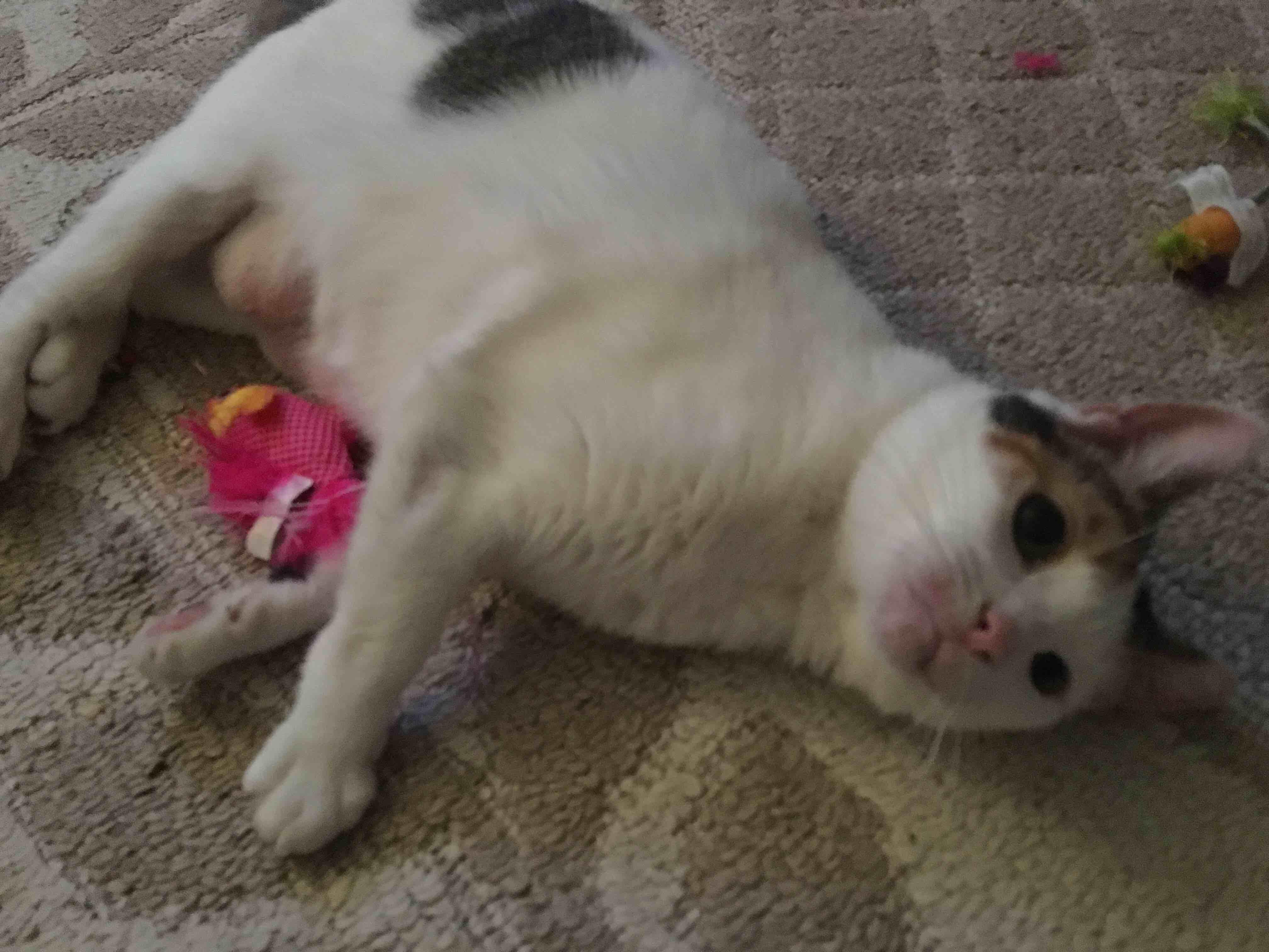 Question details sensitive content