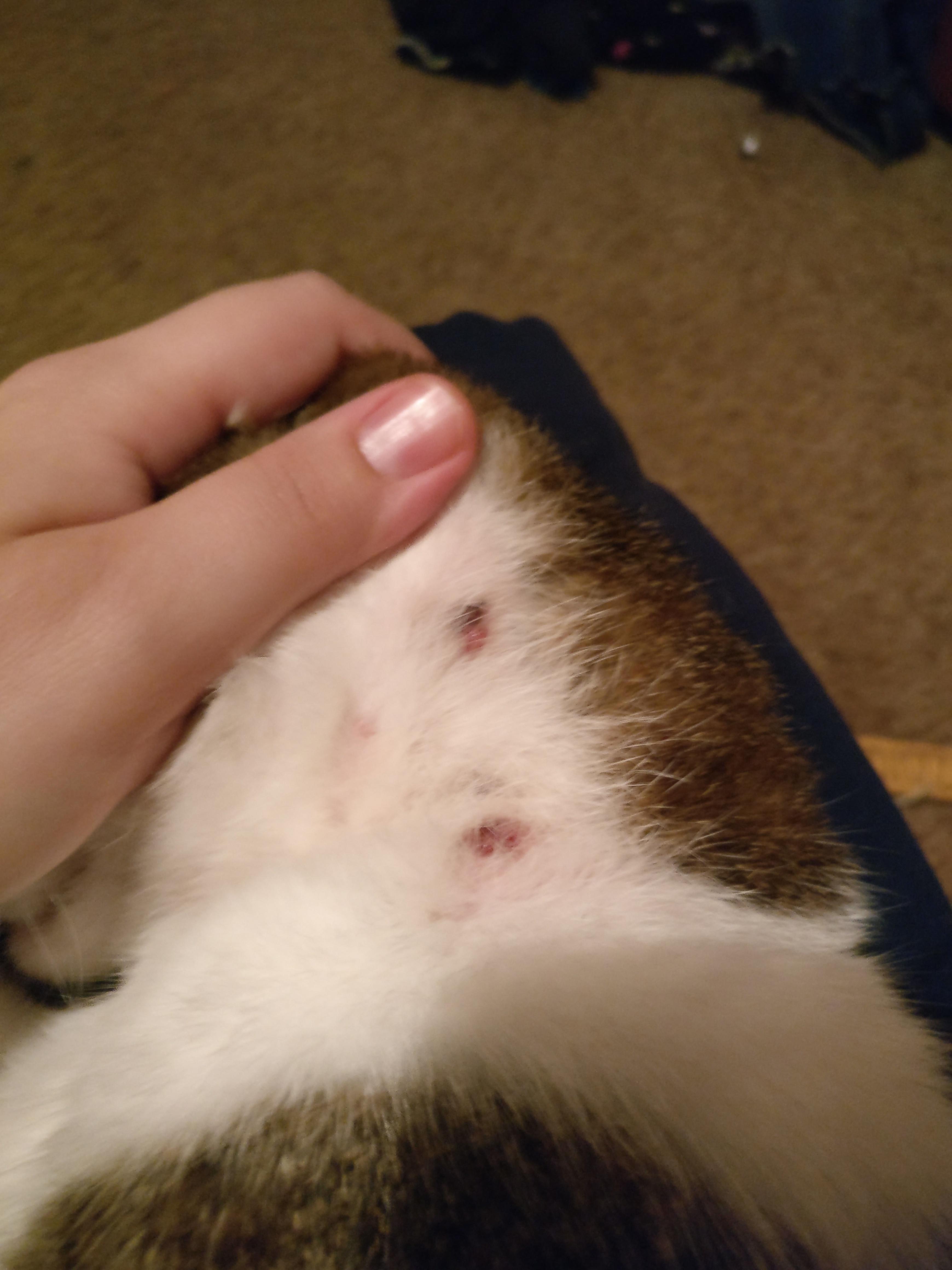 Question details sensitive content