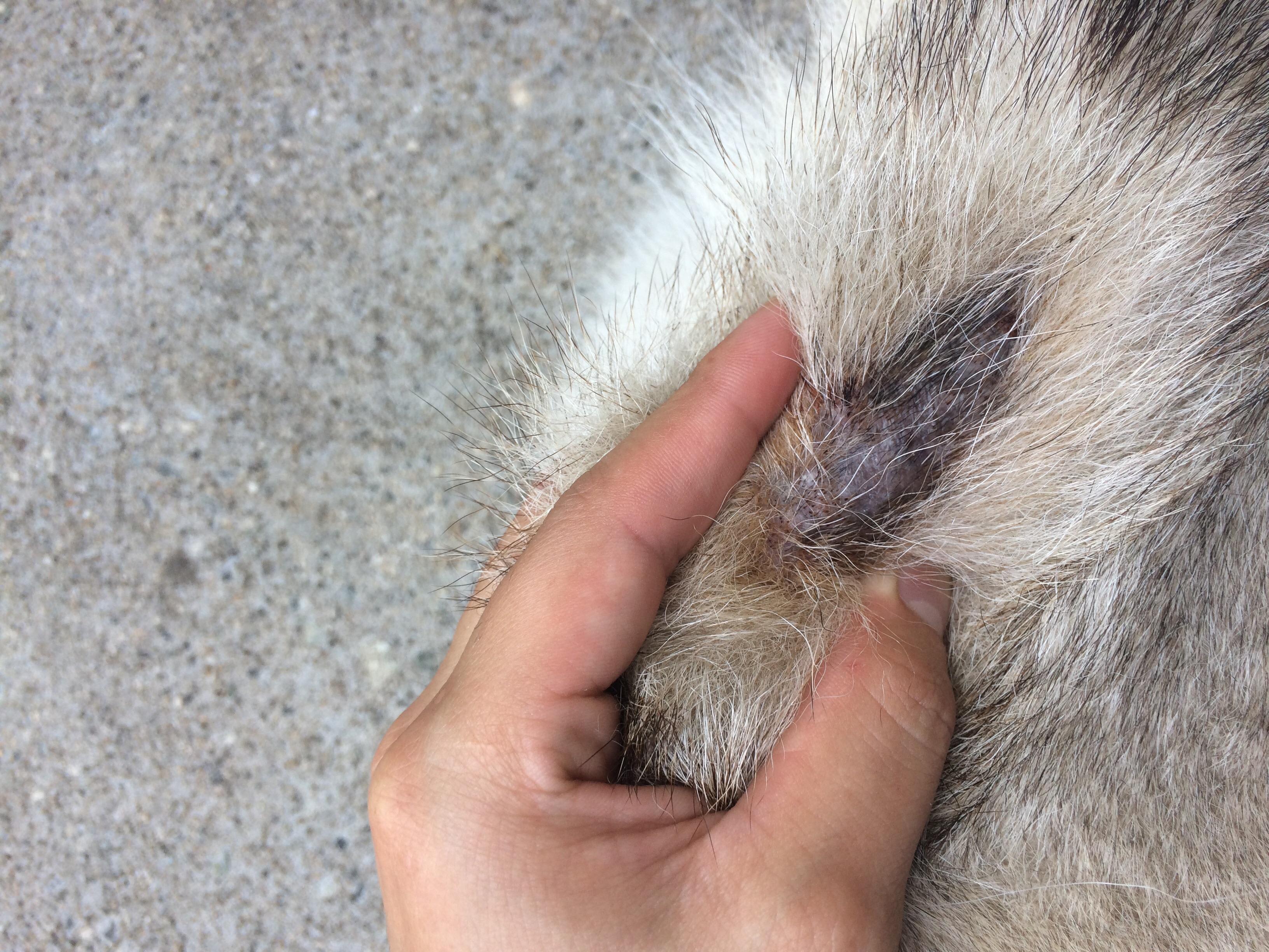 Question details sensitive content