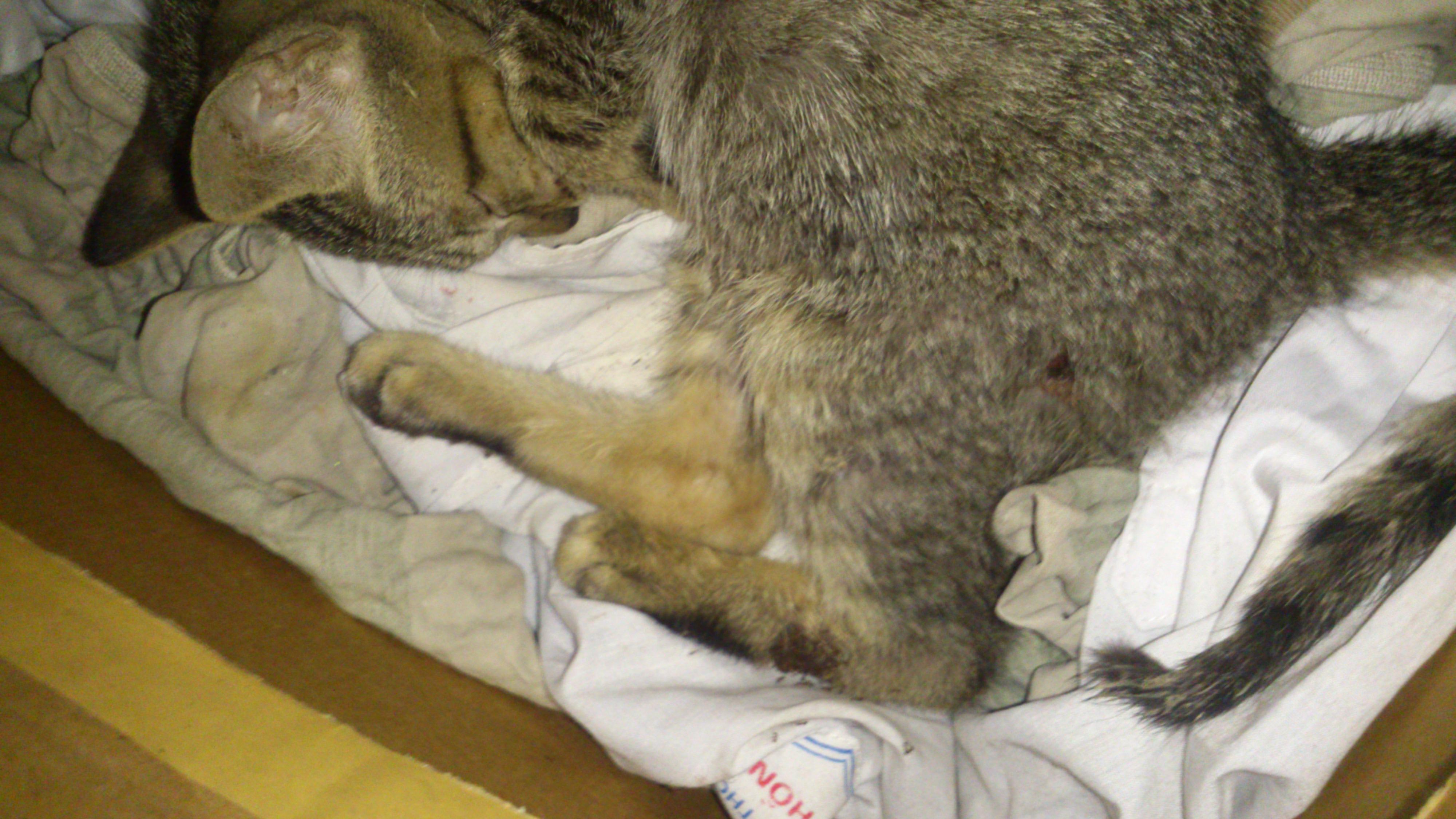 Question details sensitive content