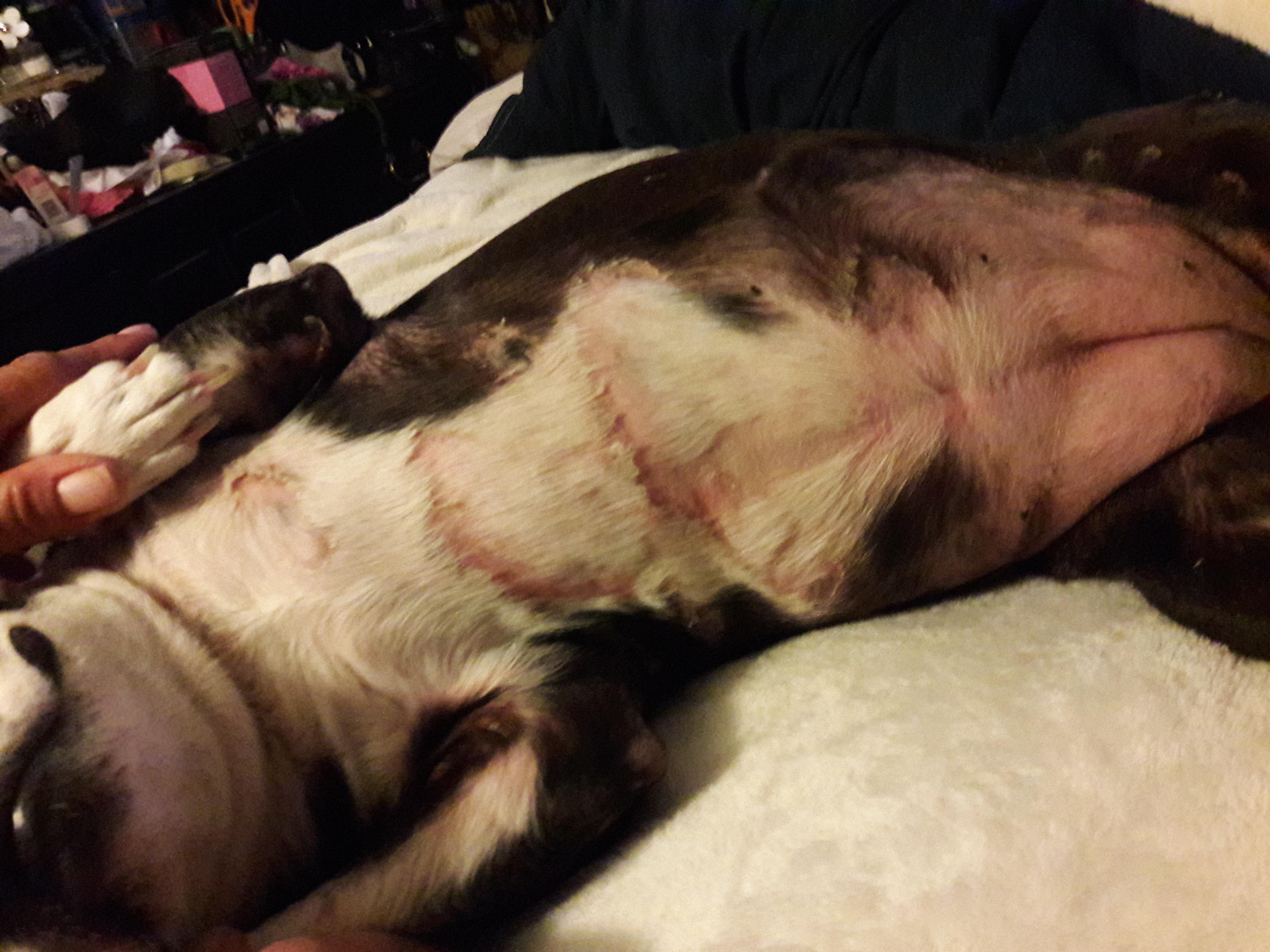 Question details sensitive content