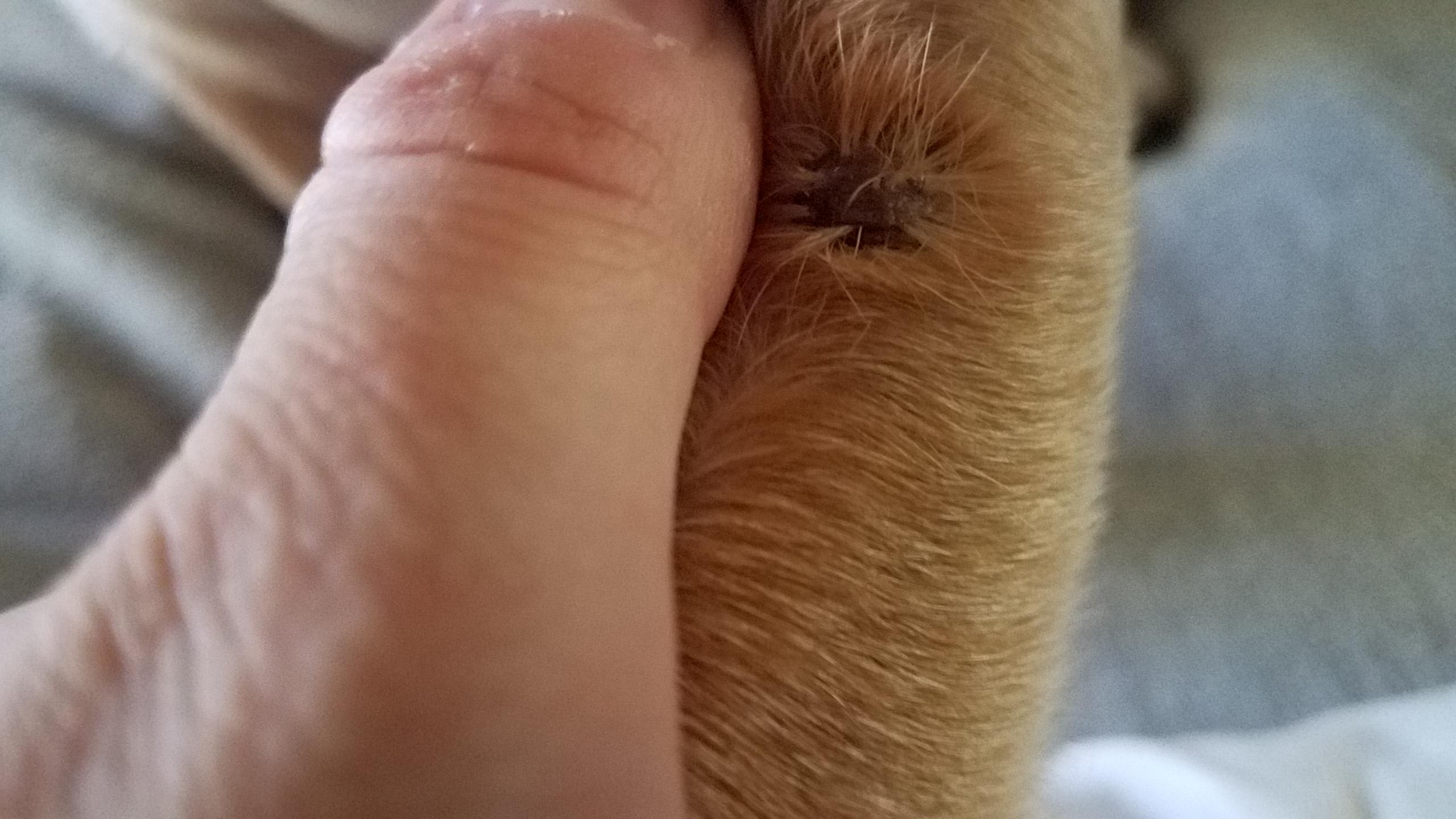 Question details sensitive content