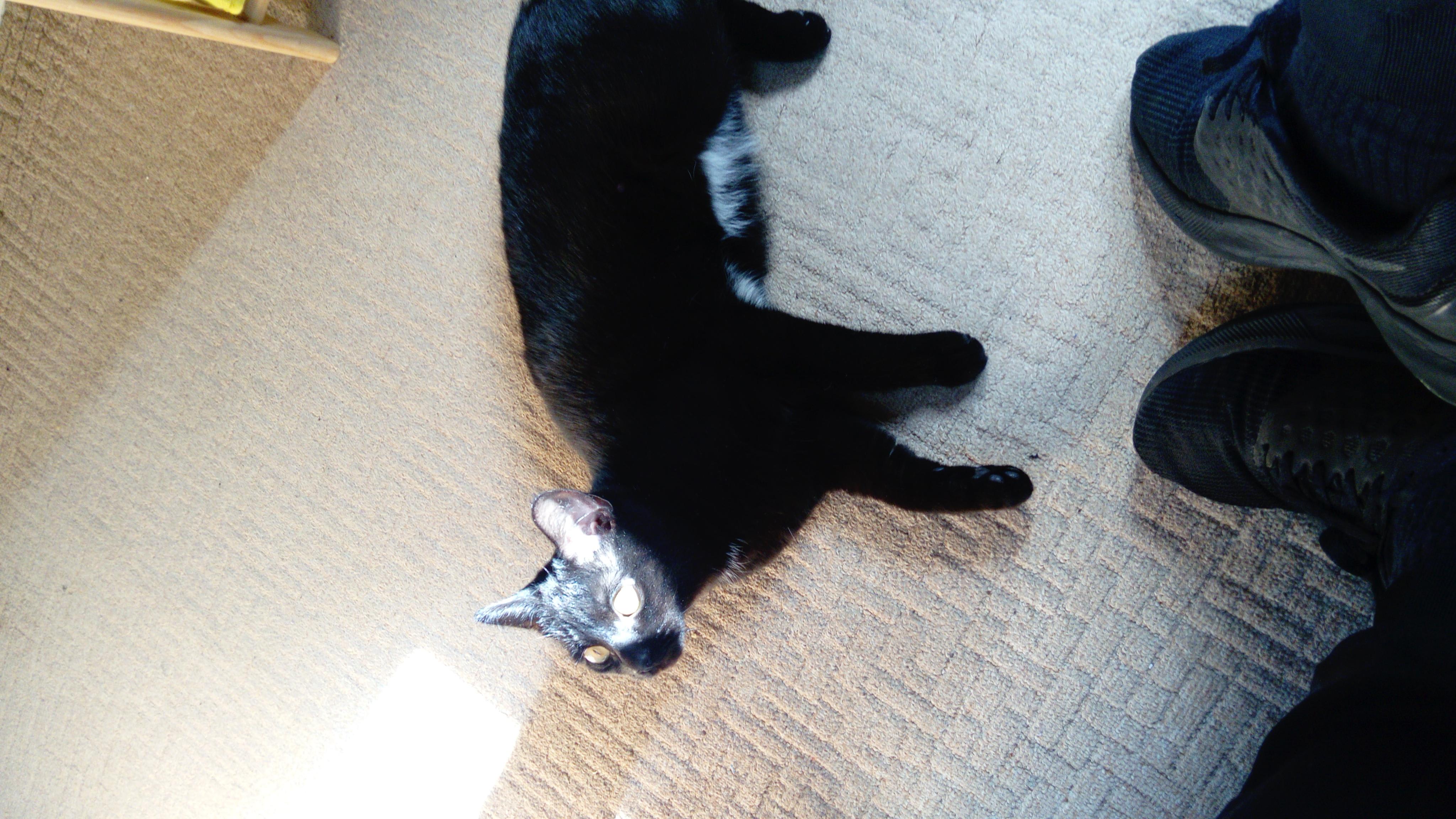 Question details sensitive content