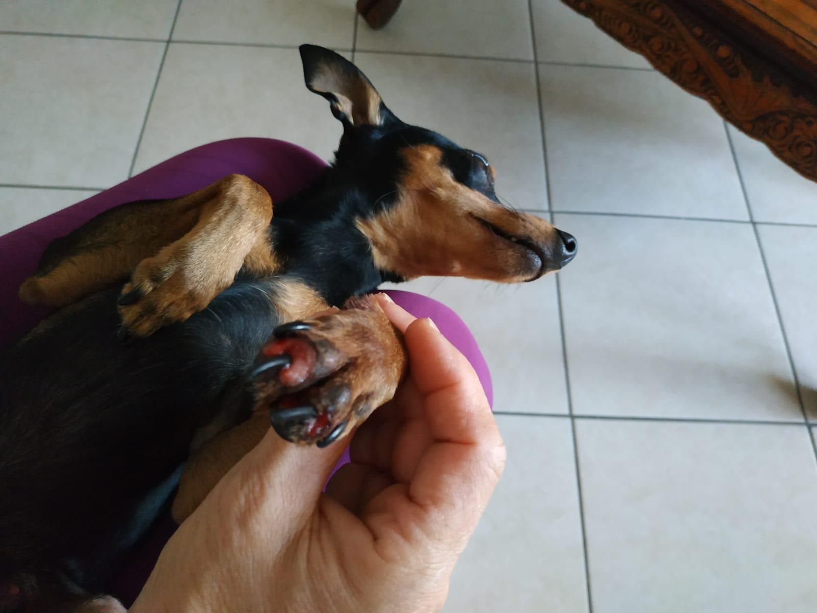 Question details sensitive content