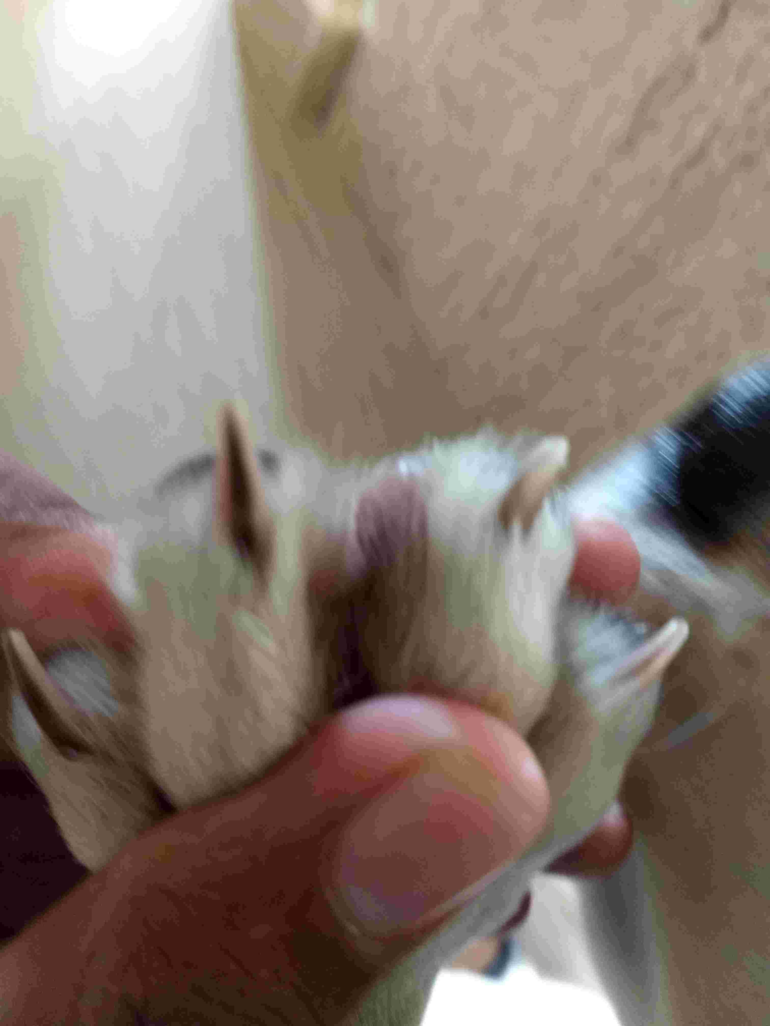 Question details sensitive content