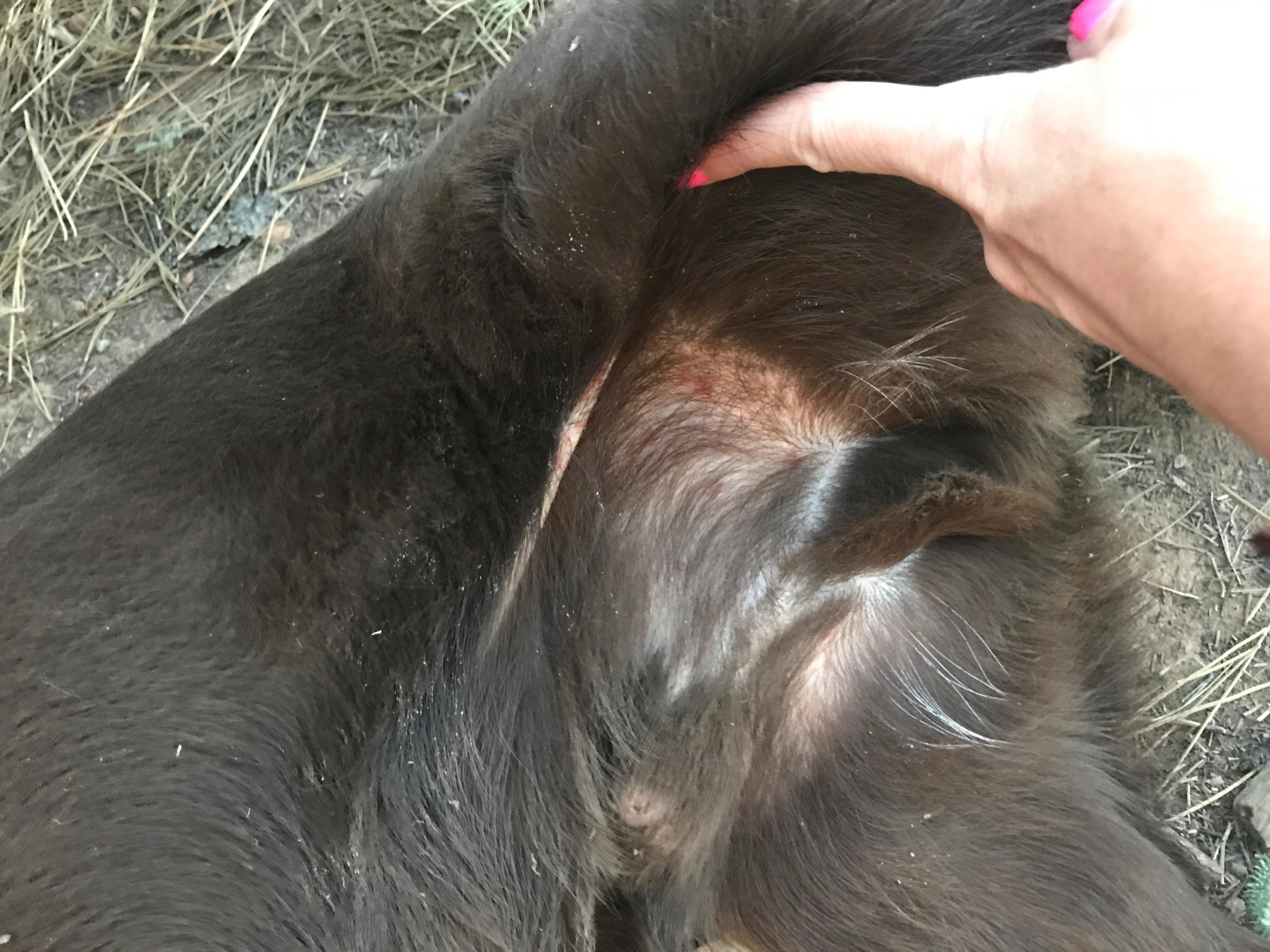 Question details sensitive content