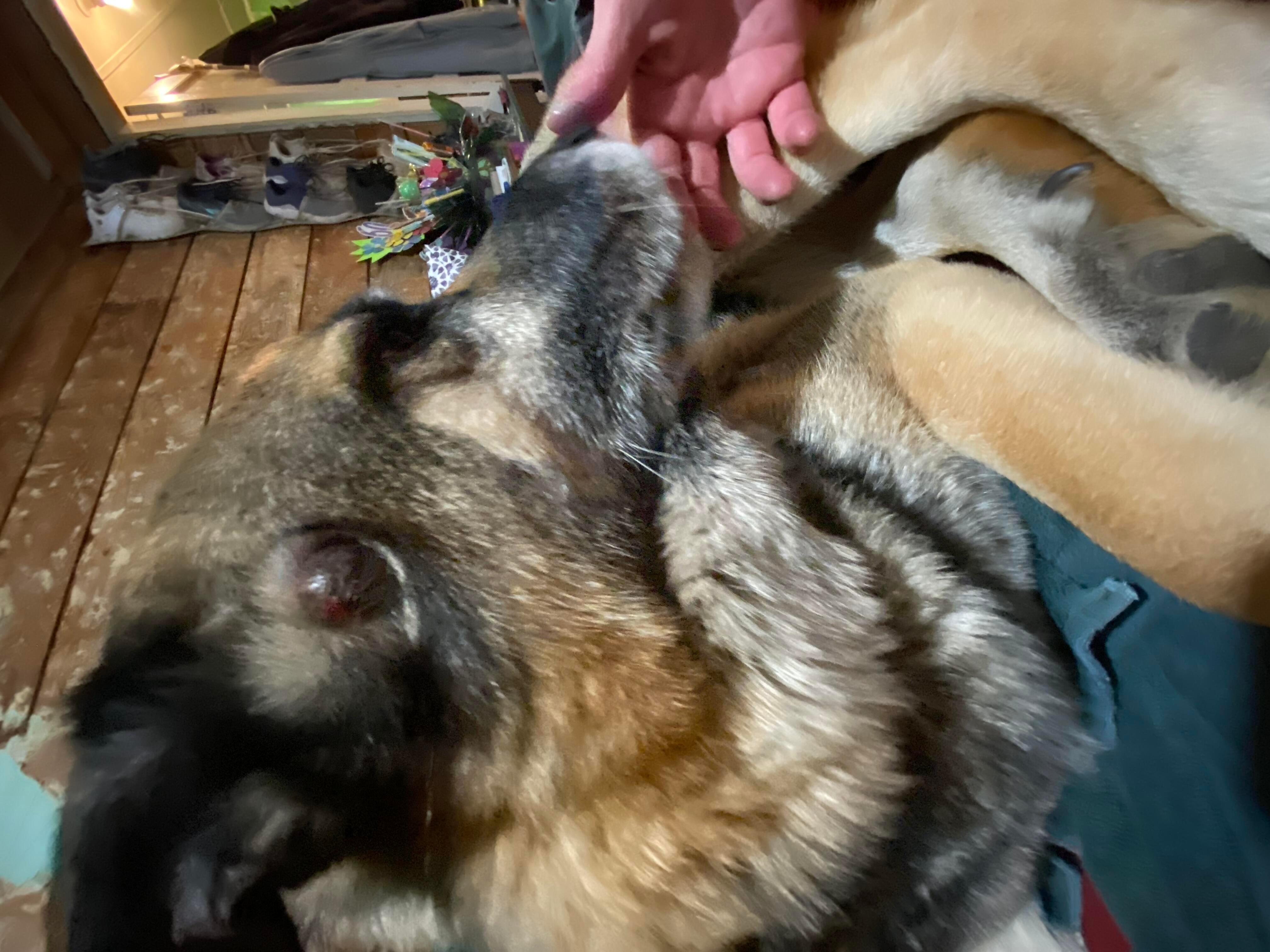 Question details sensitive content