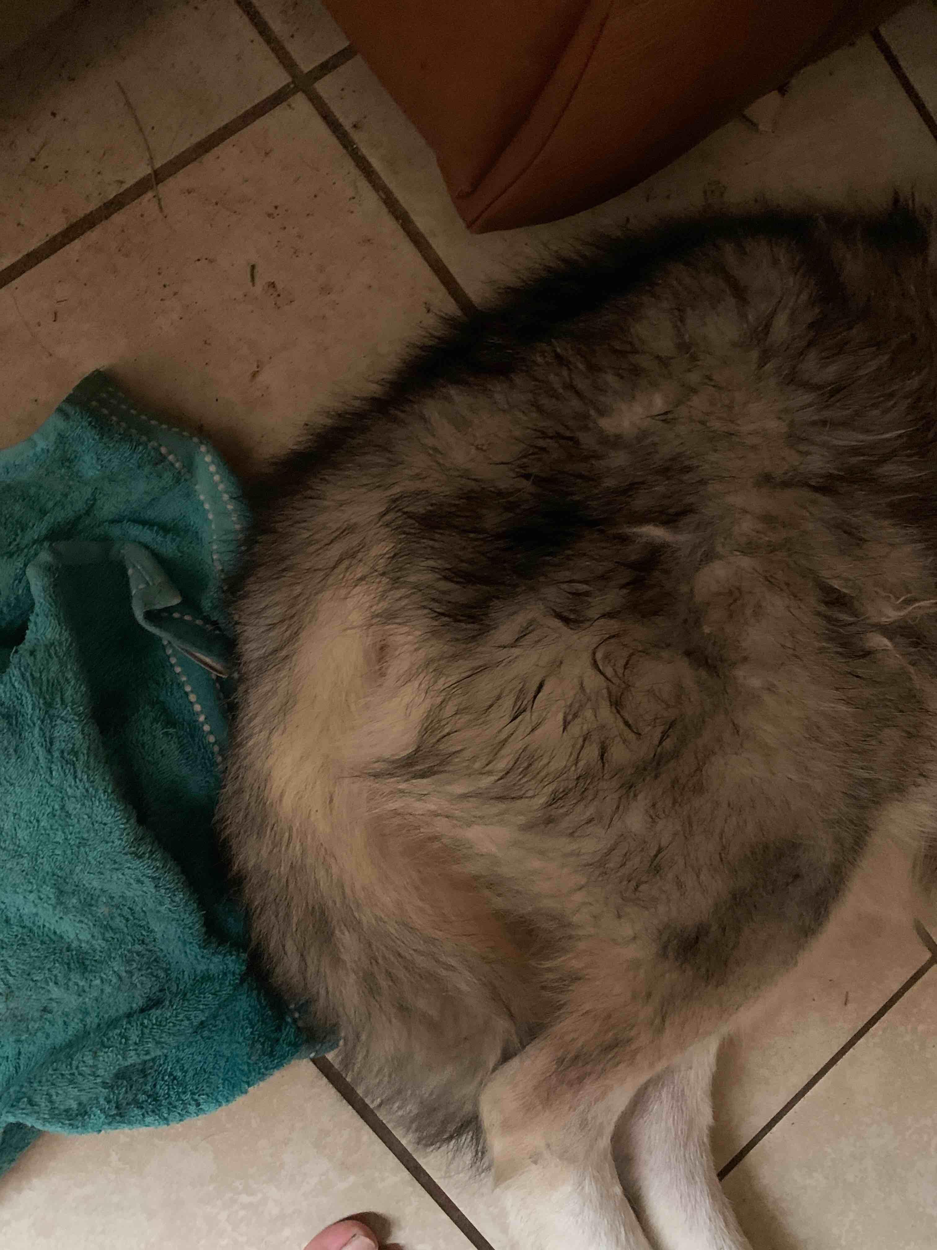 Question details sensitive content