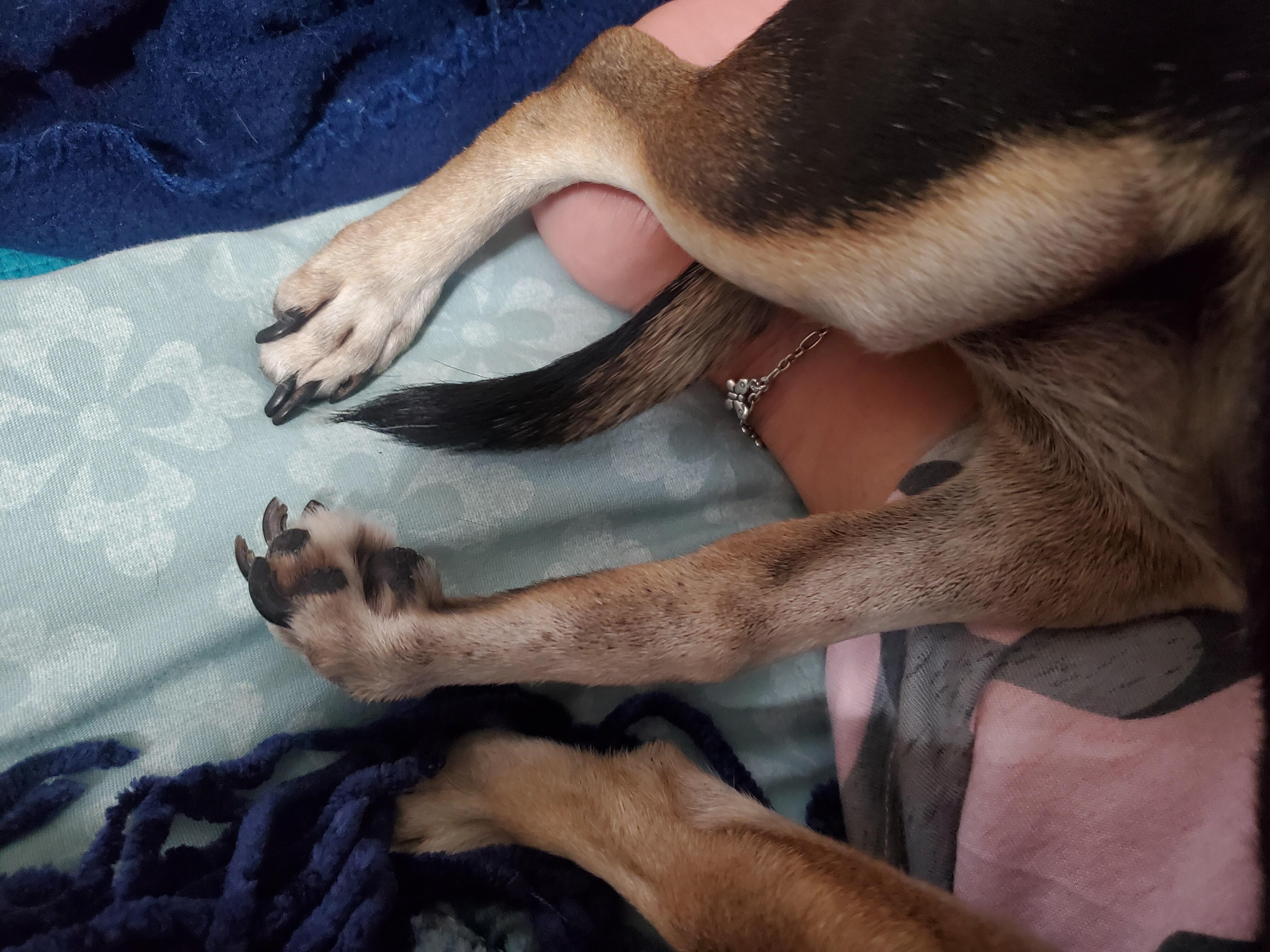 Question details sensitive content