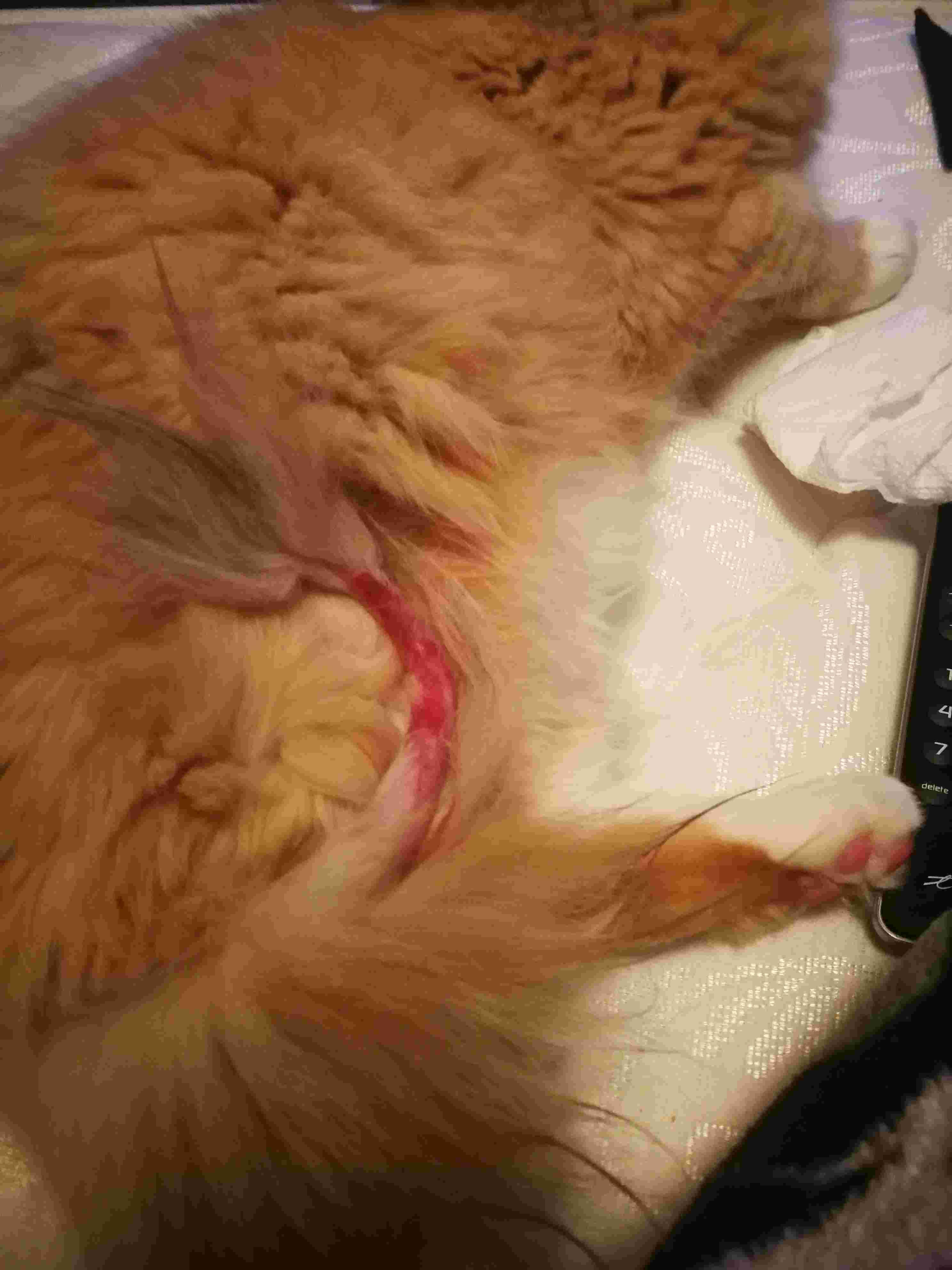 Question details sensitive content