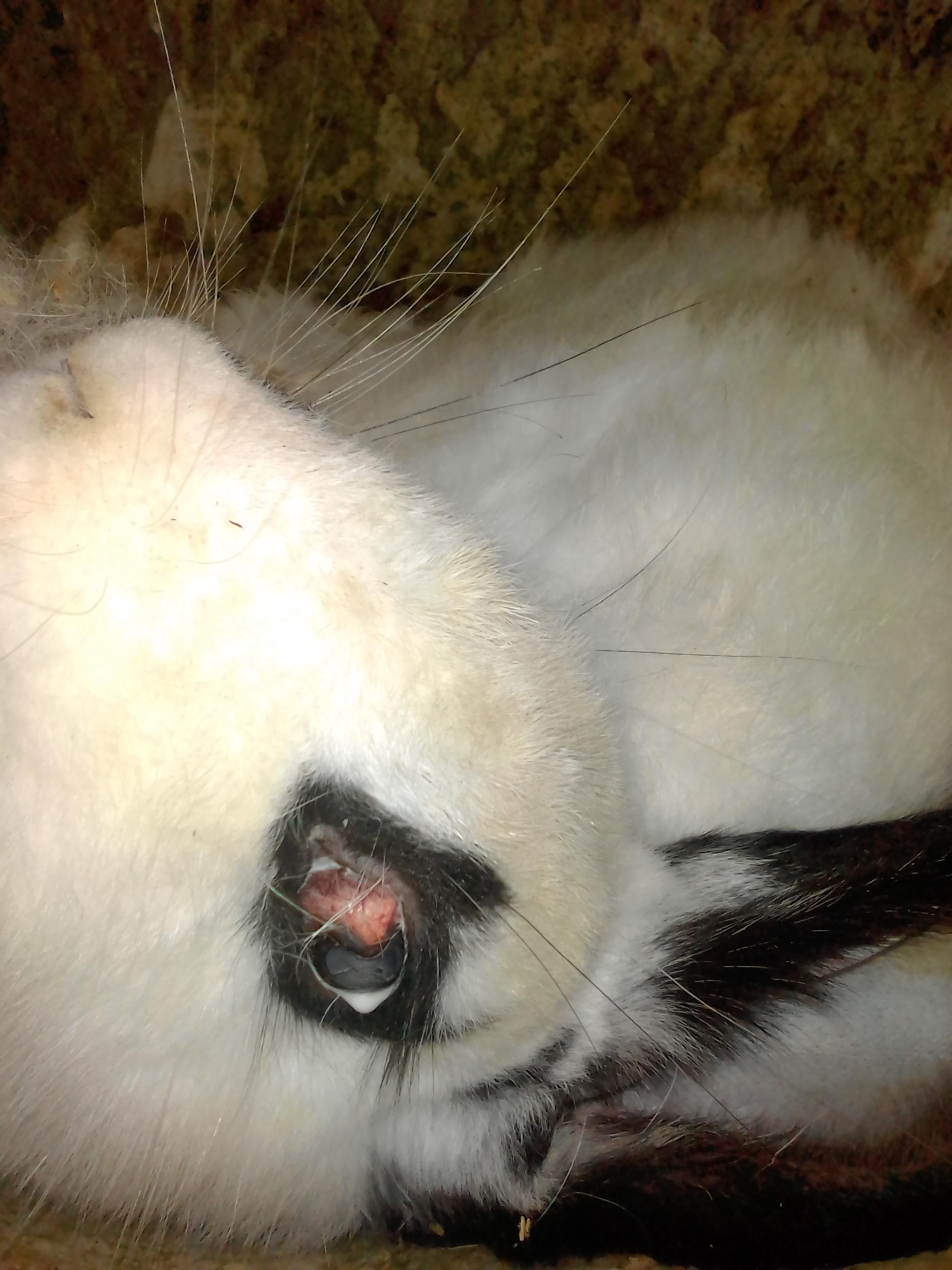 Question details sensitive content