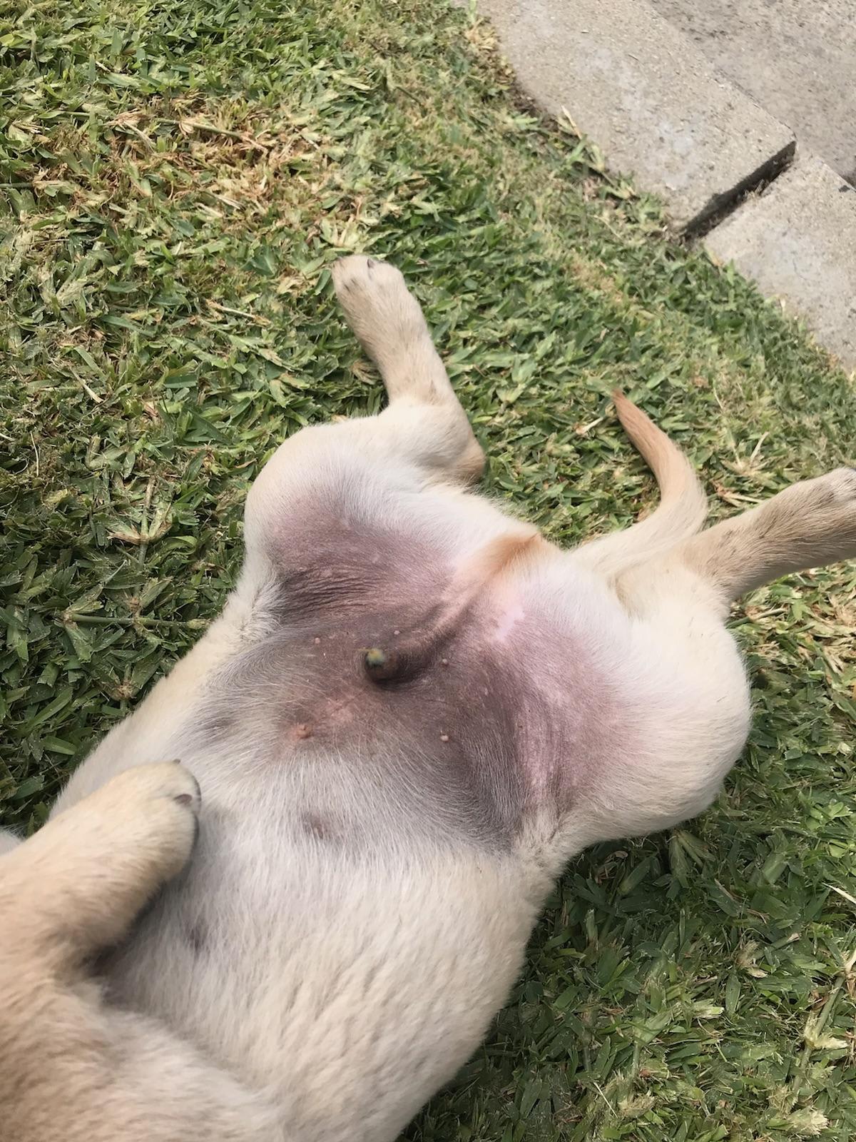 Question details sensitive content