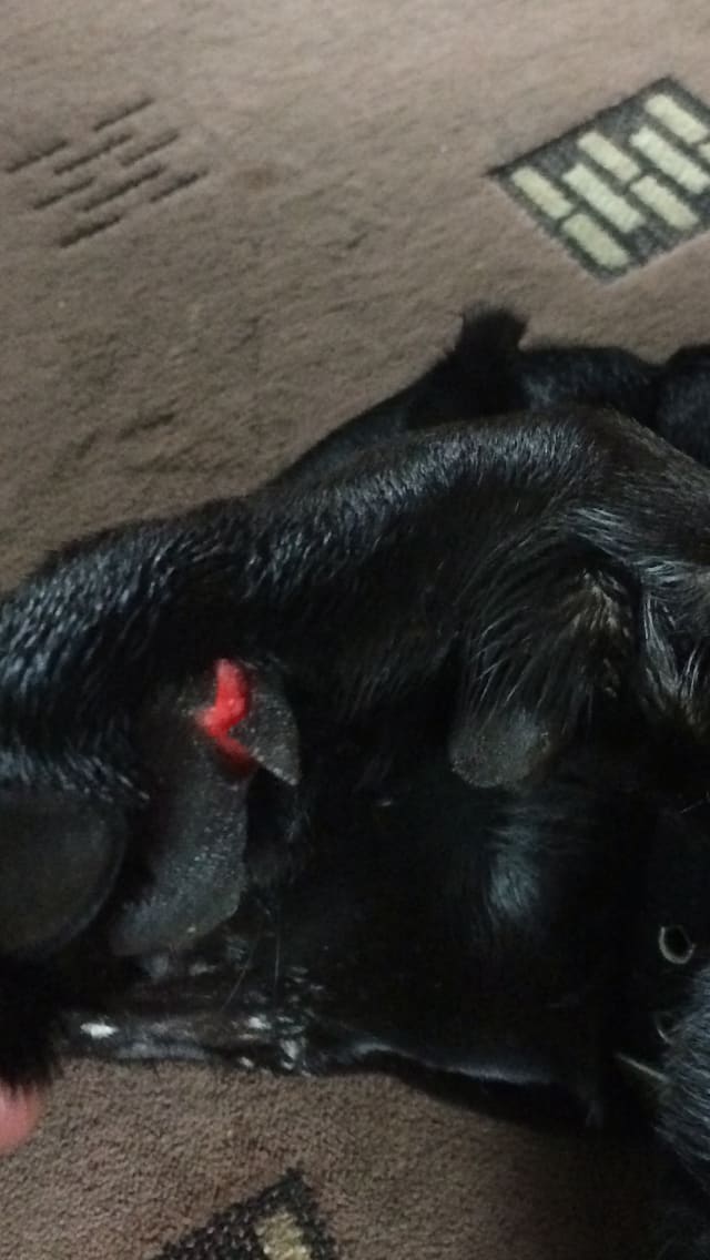 Question details sensitive content