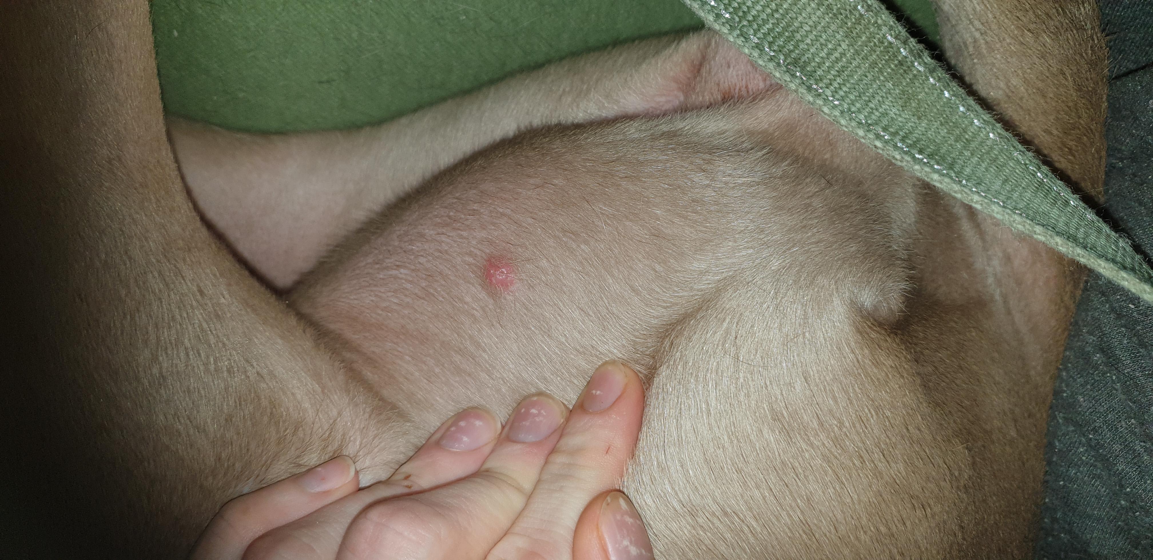 Question details sensitive content