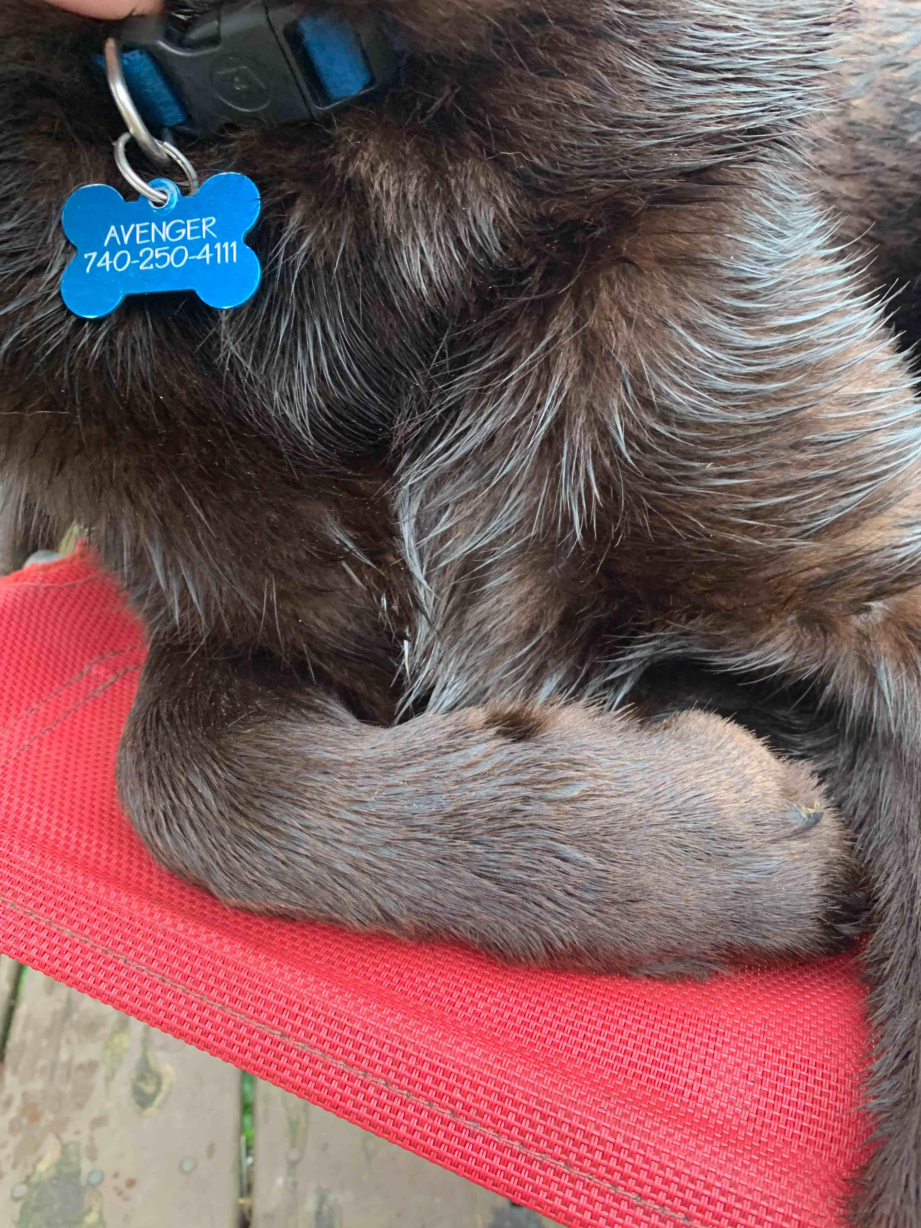 Question details sensitive content