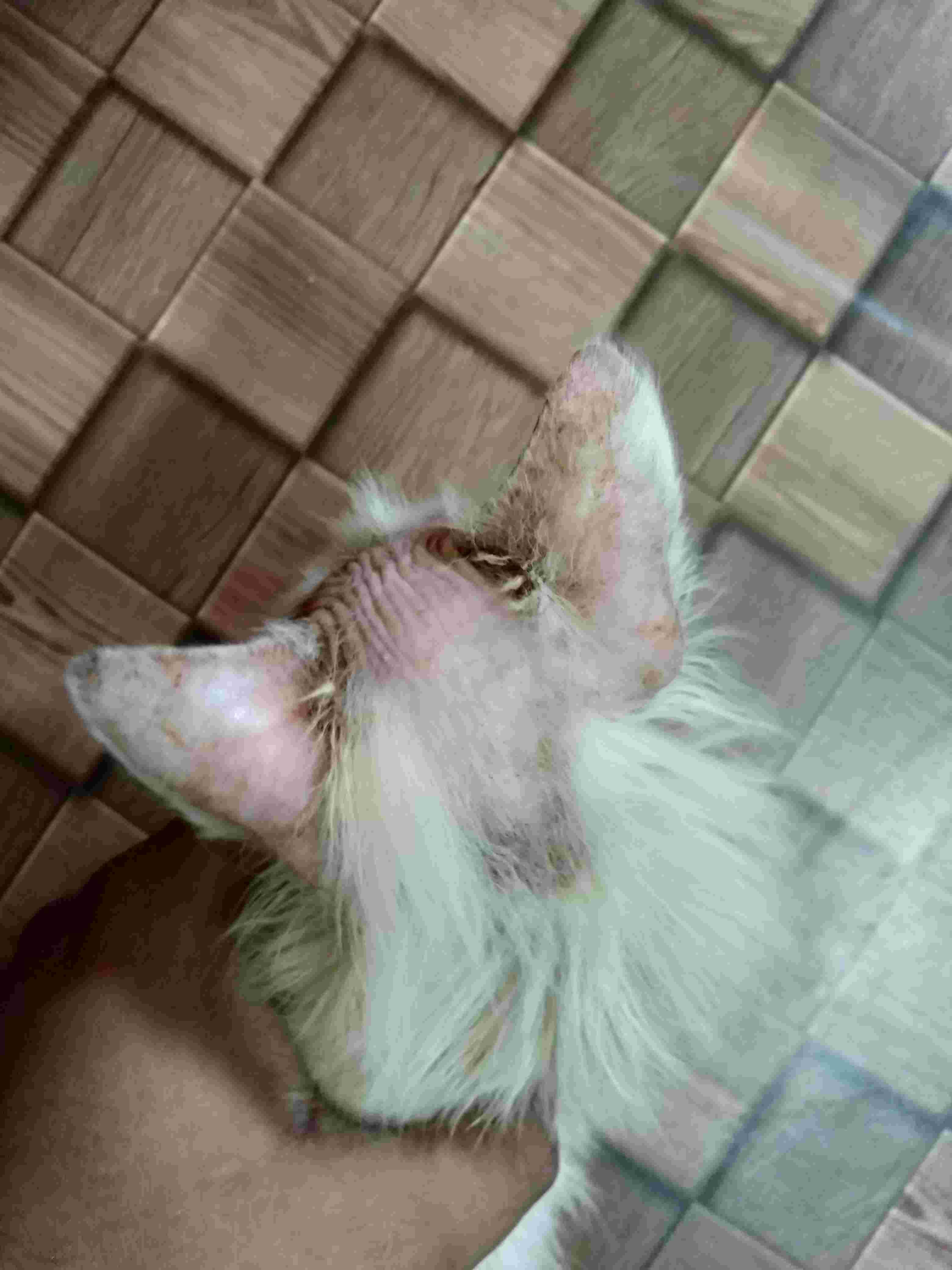 Question details sensitive content