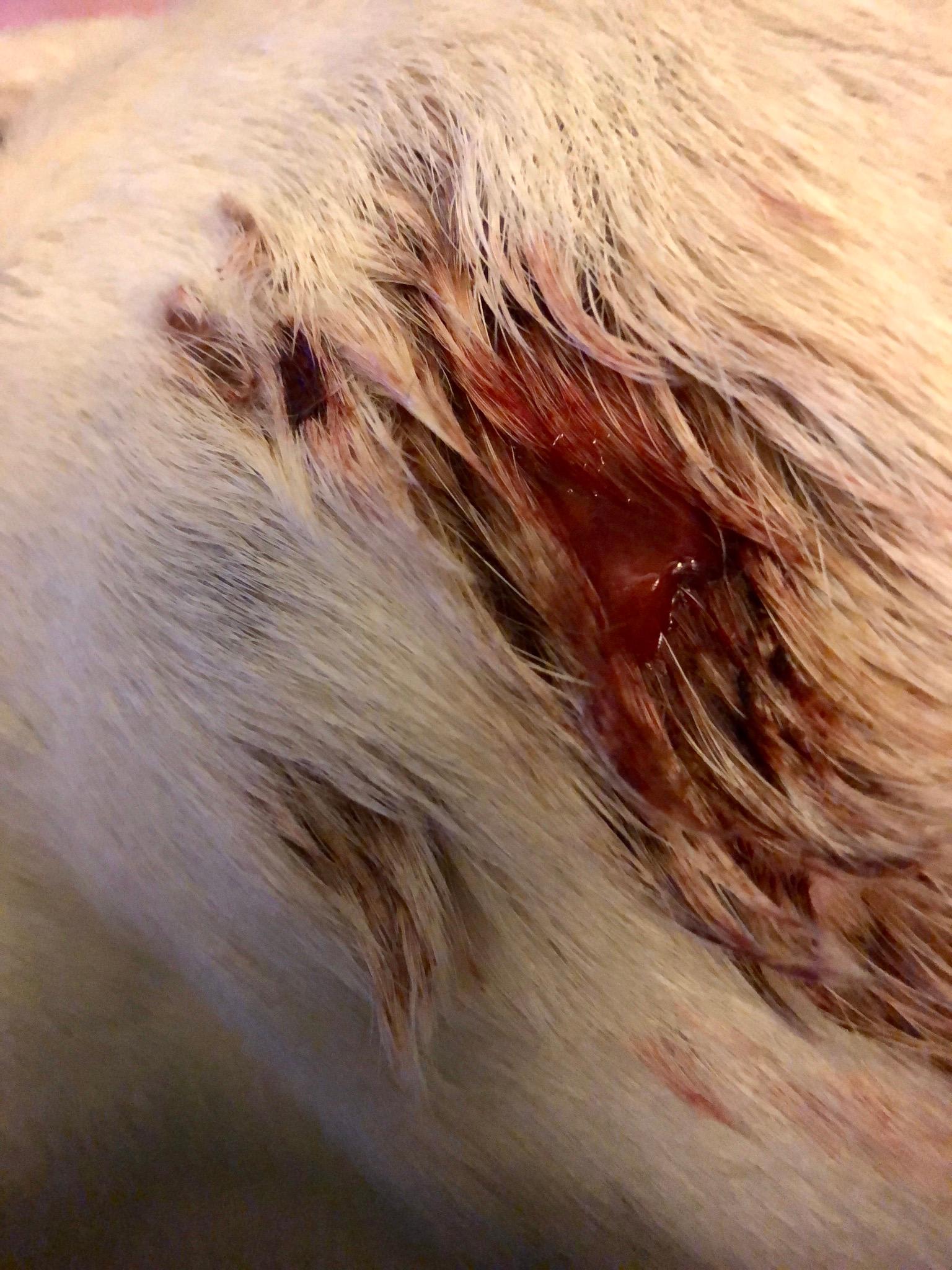 Question details sensitive content