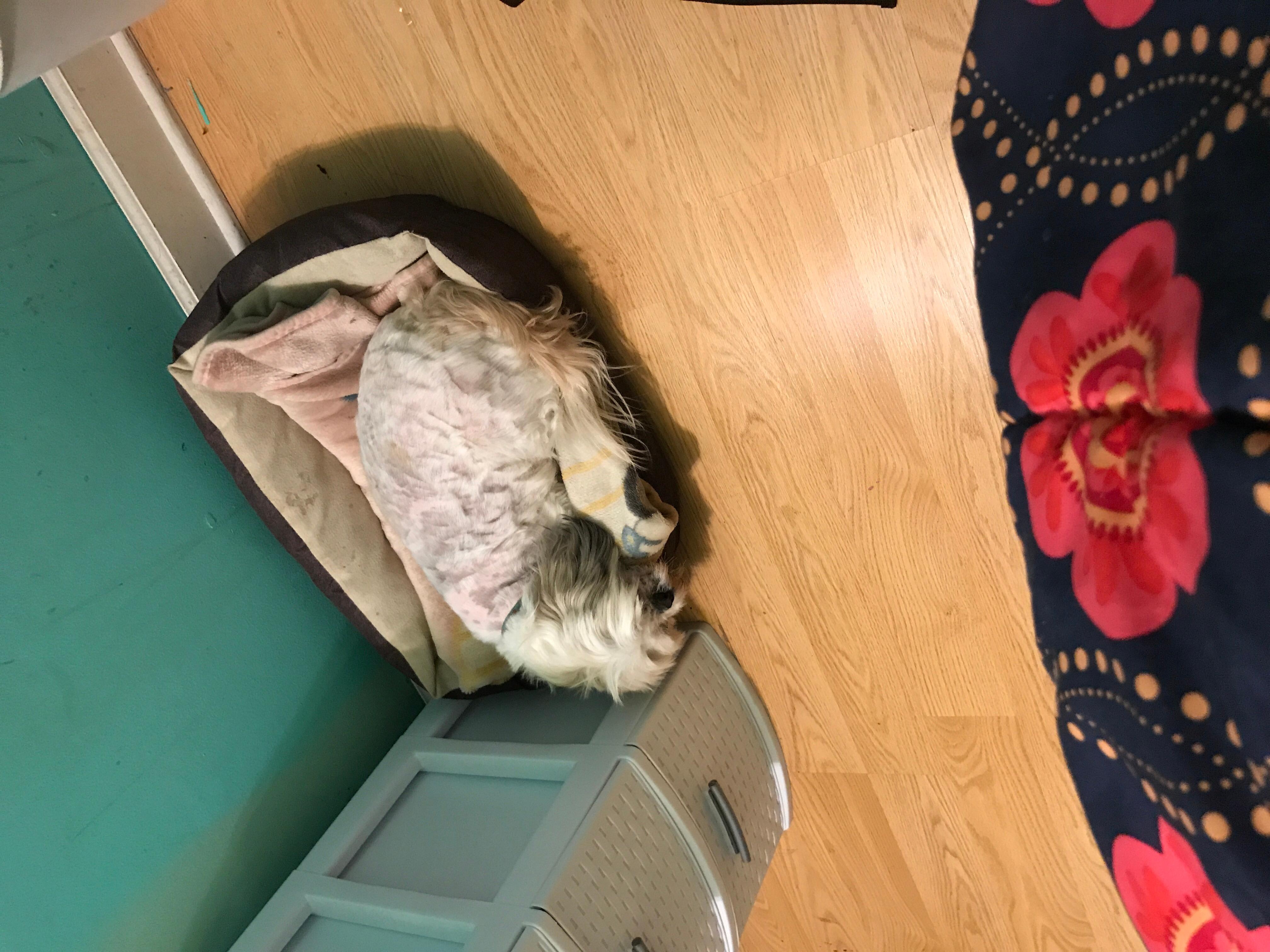 Question details sensitive content