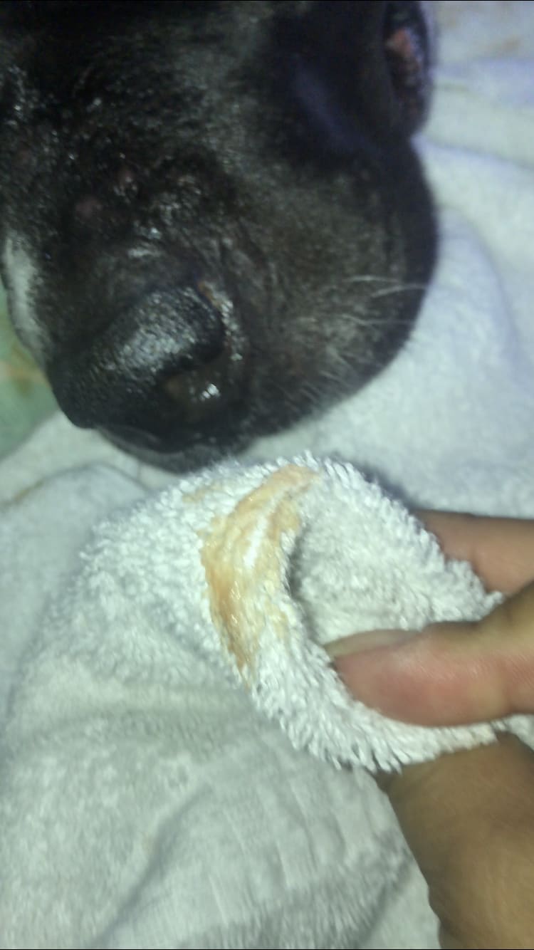 Question details sensitive content