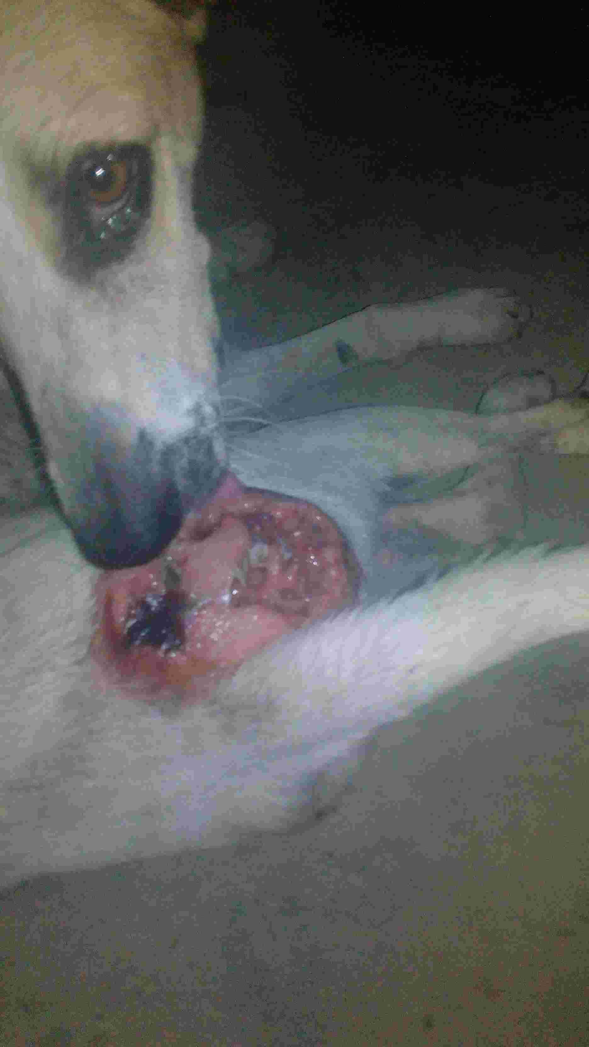 Question details sensitive content