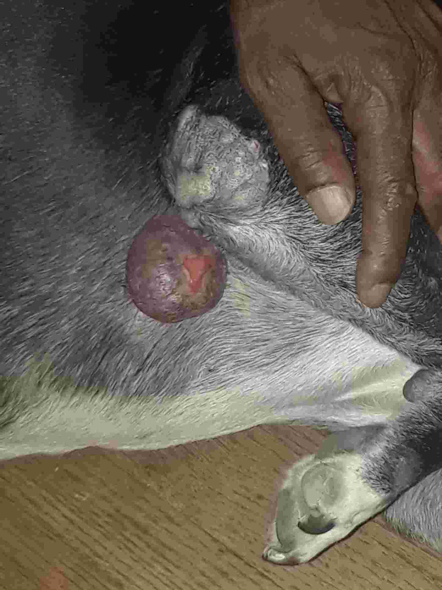 Question details sensitive content