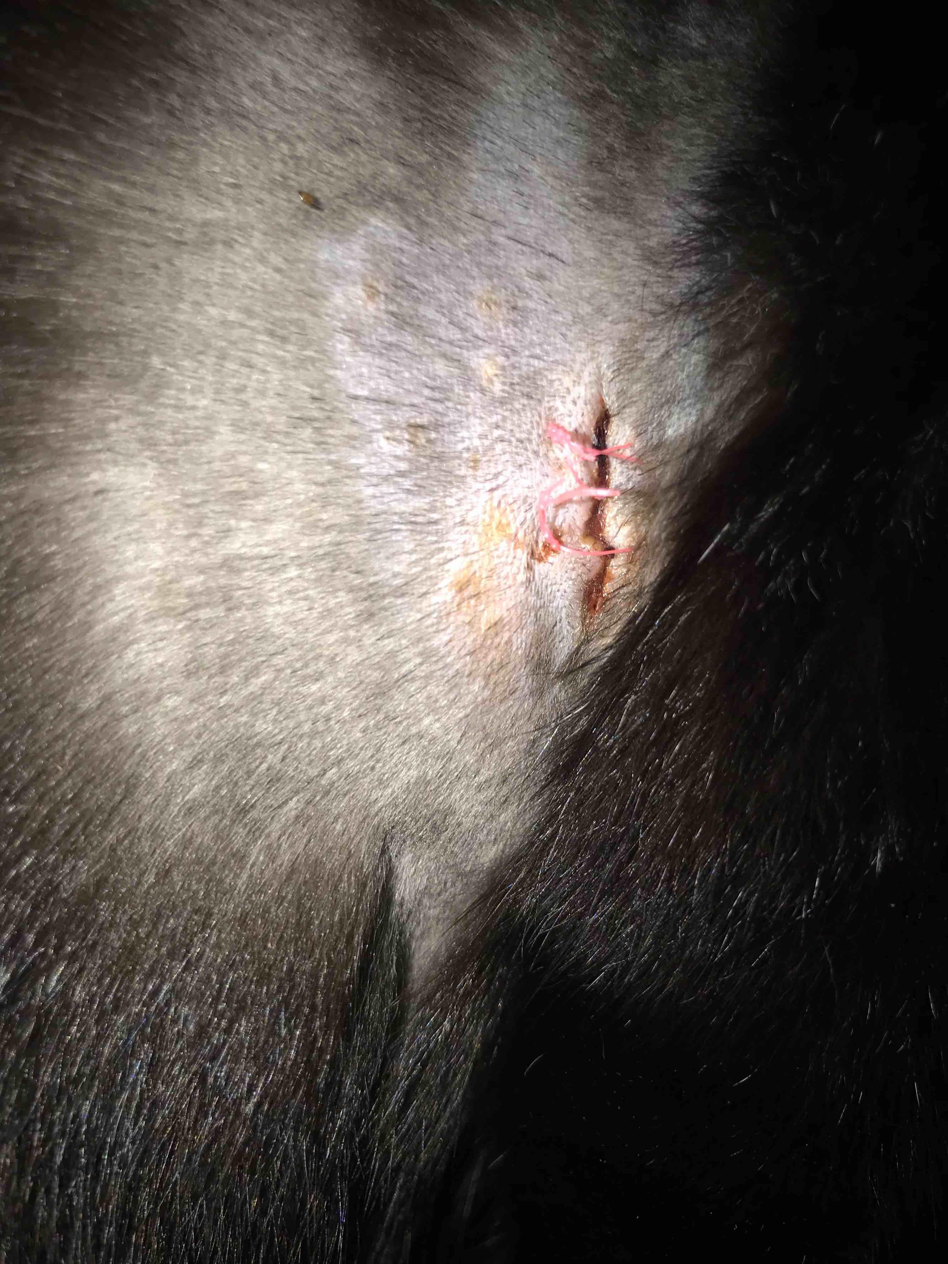 Question details sensitive content