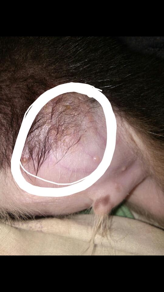 Question details sensitive content