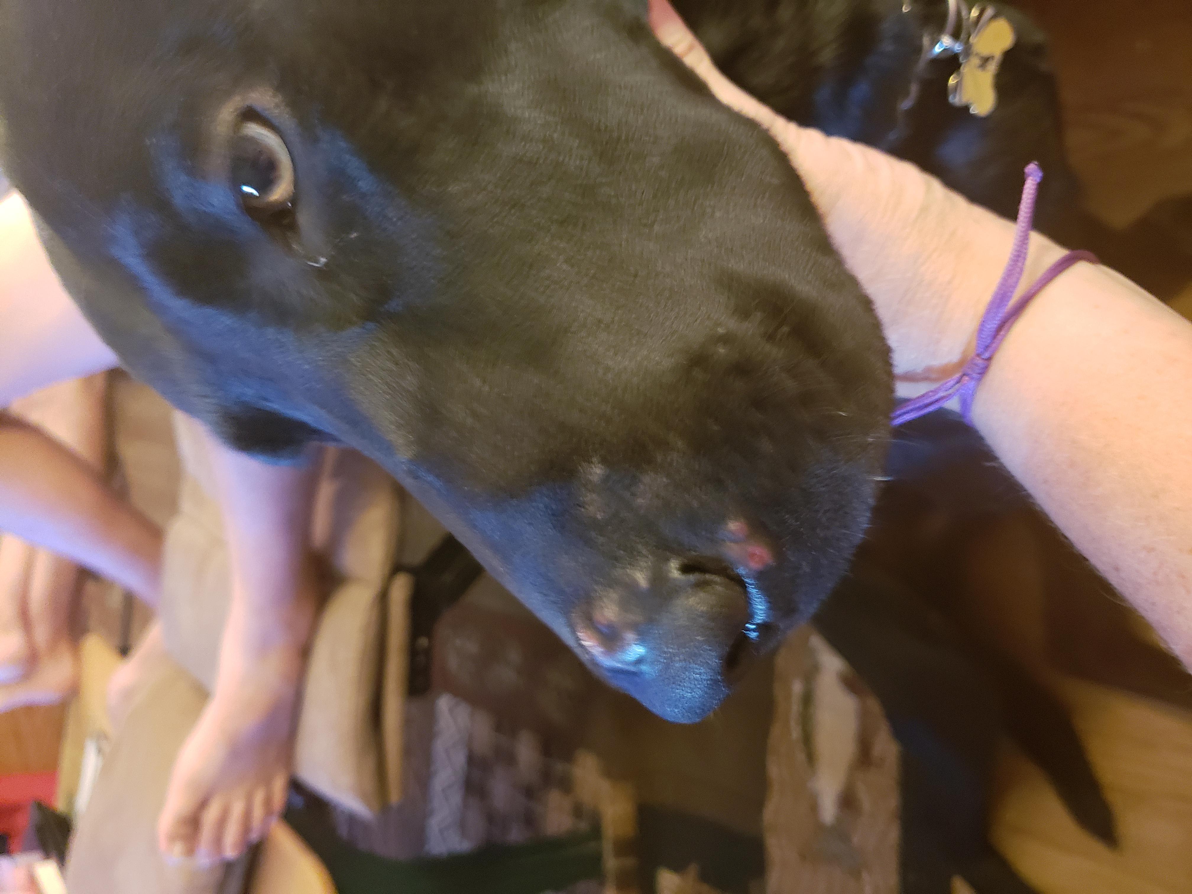 Question details sensitive content