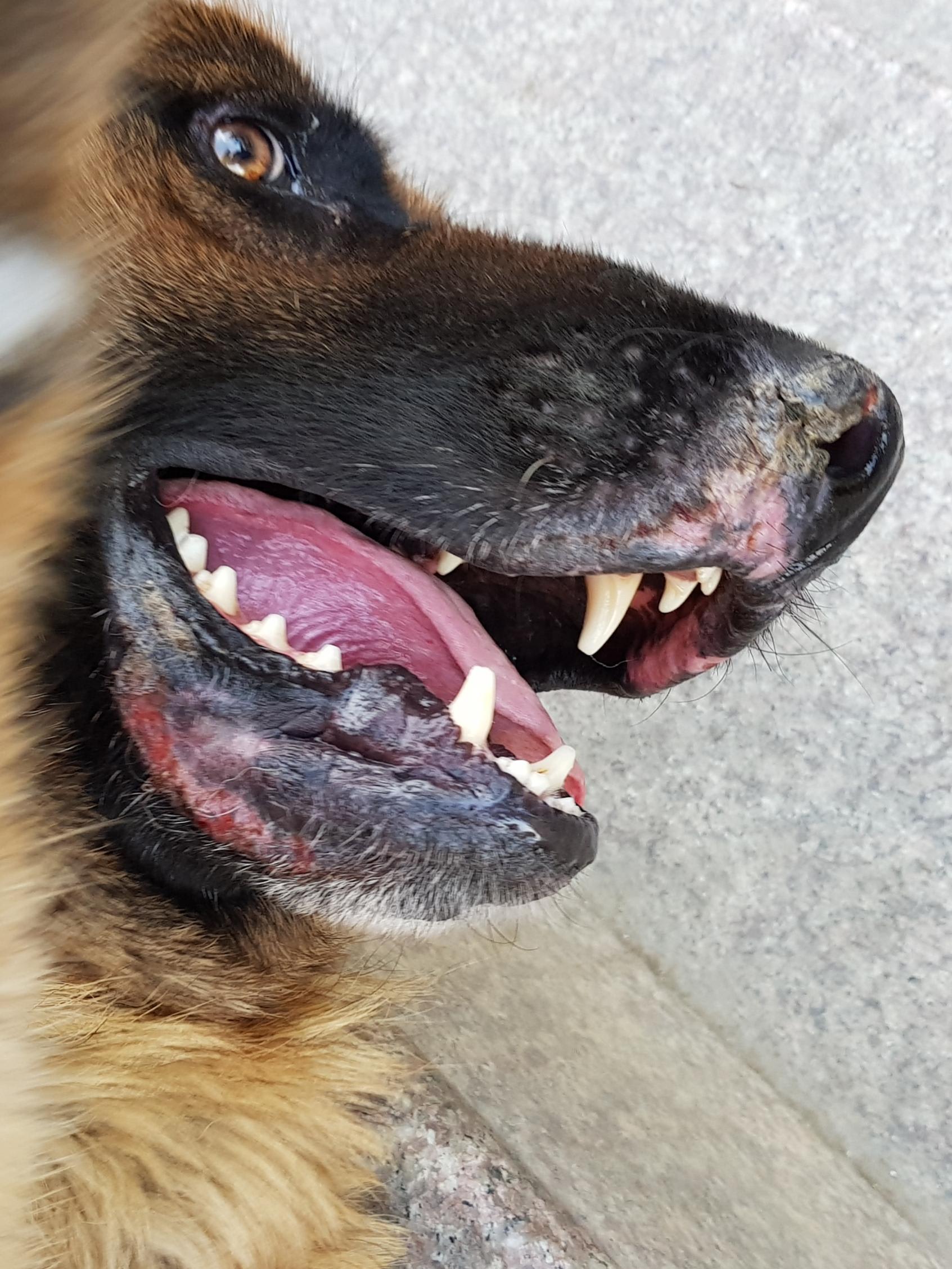 Question details sensitive content