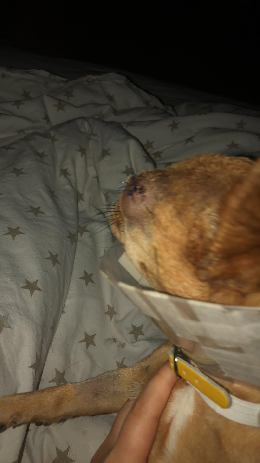 Question details sensitive content