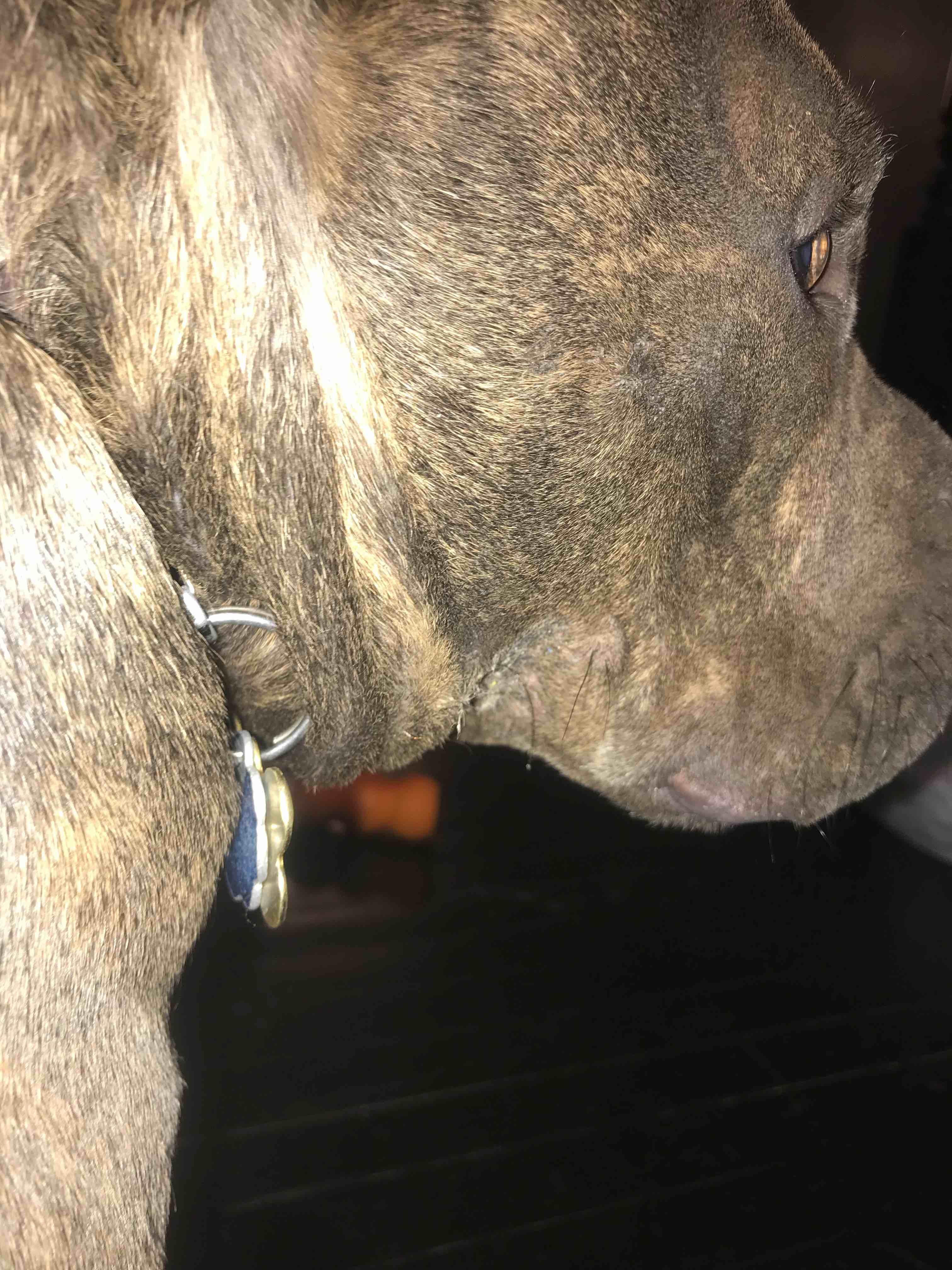 Question details sensitive content