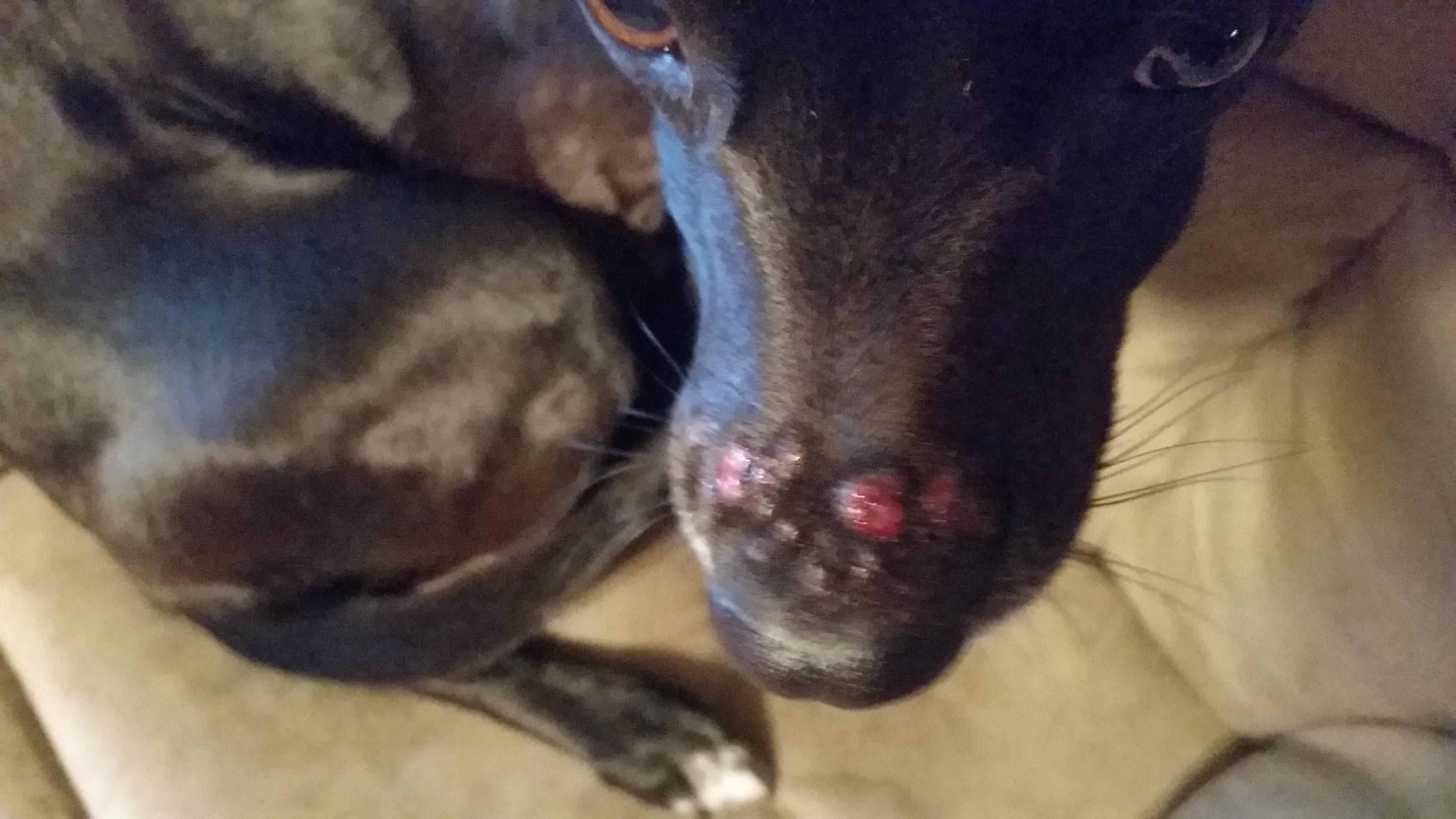 Question details sensitive content