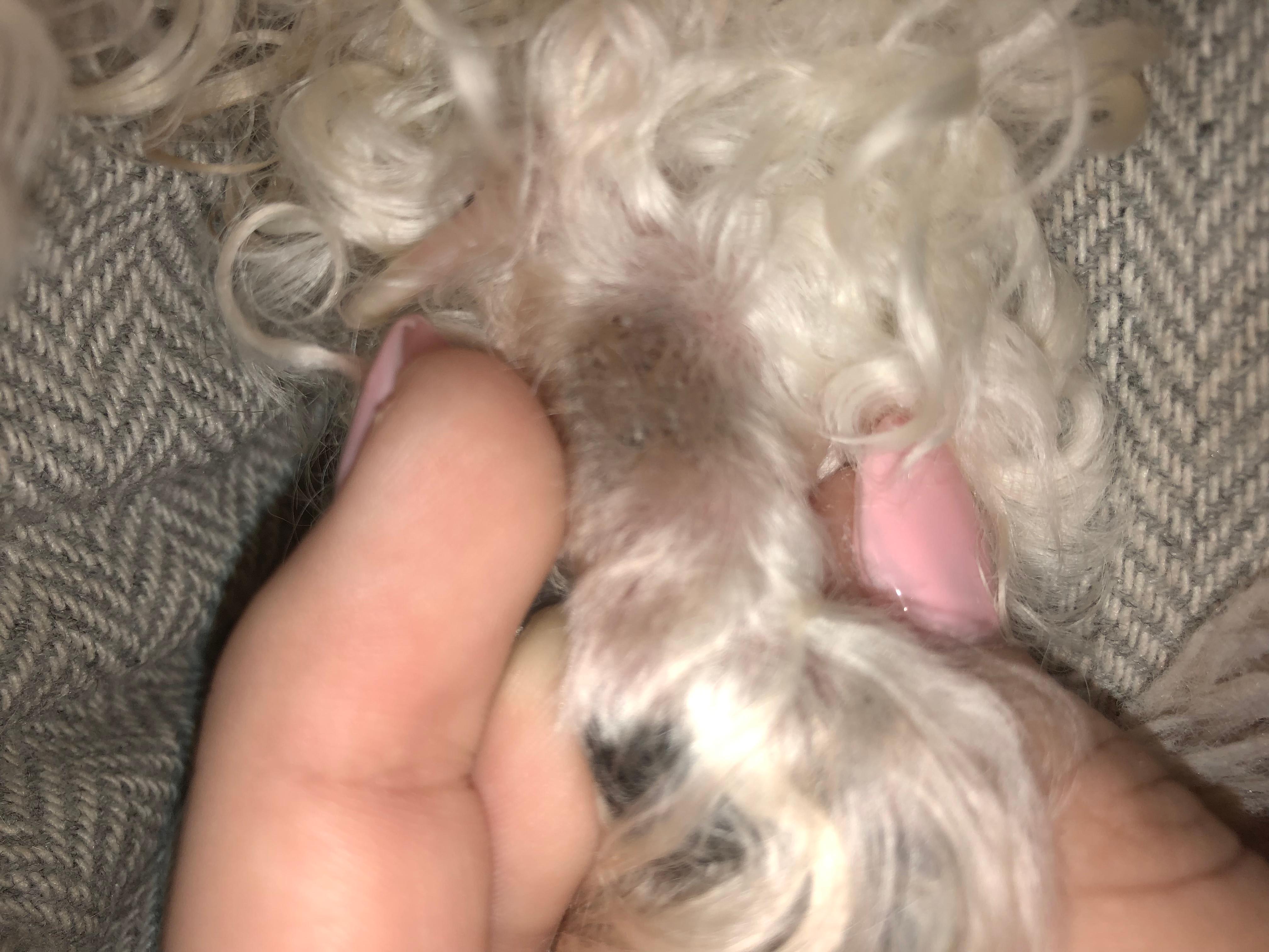 Question details sensitive content