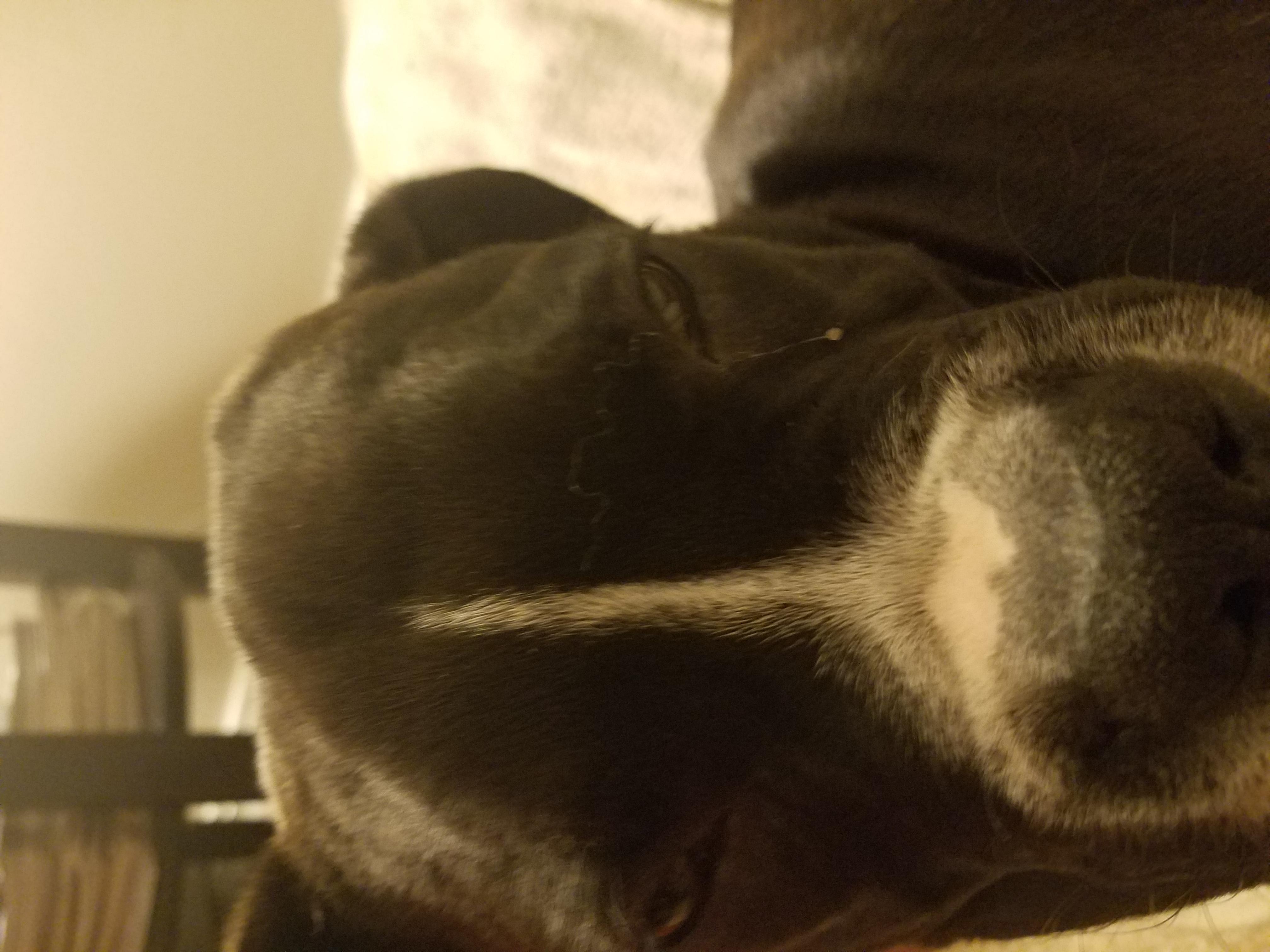 Question details sensitive content